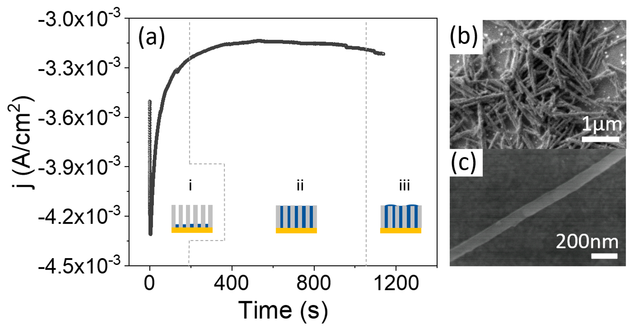 Nanomaterials 11 01657 g003