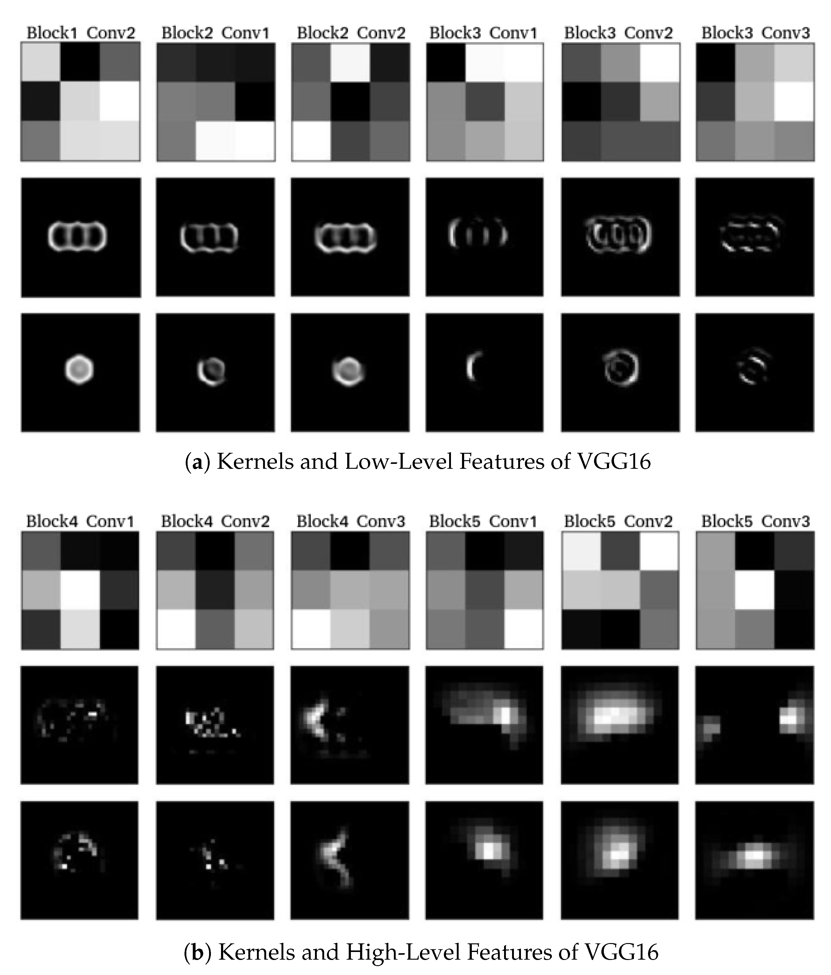 Nanomaterials 11 01658 g0a4 550