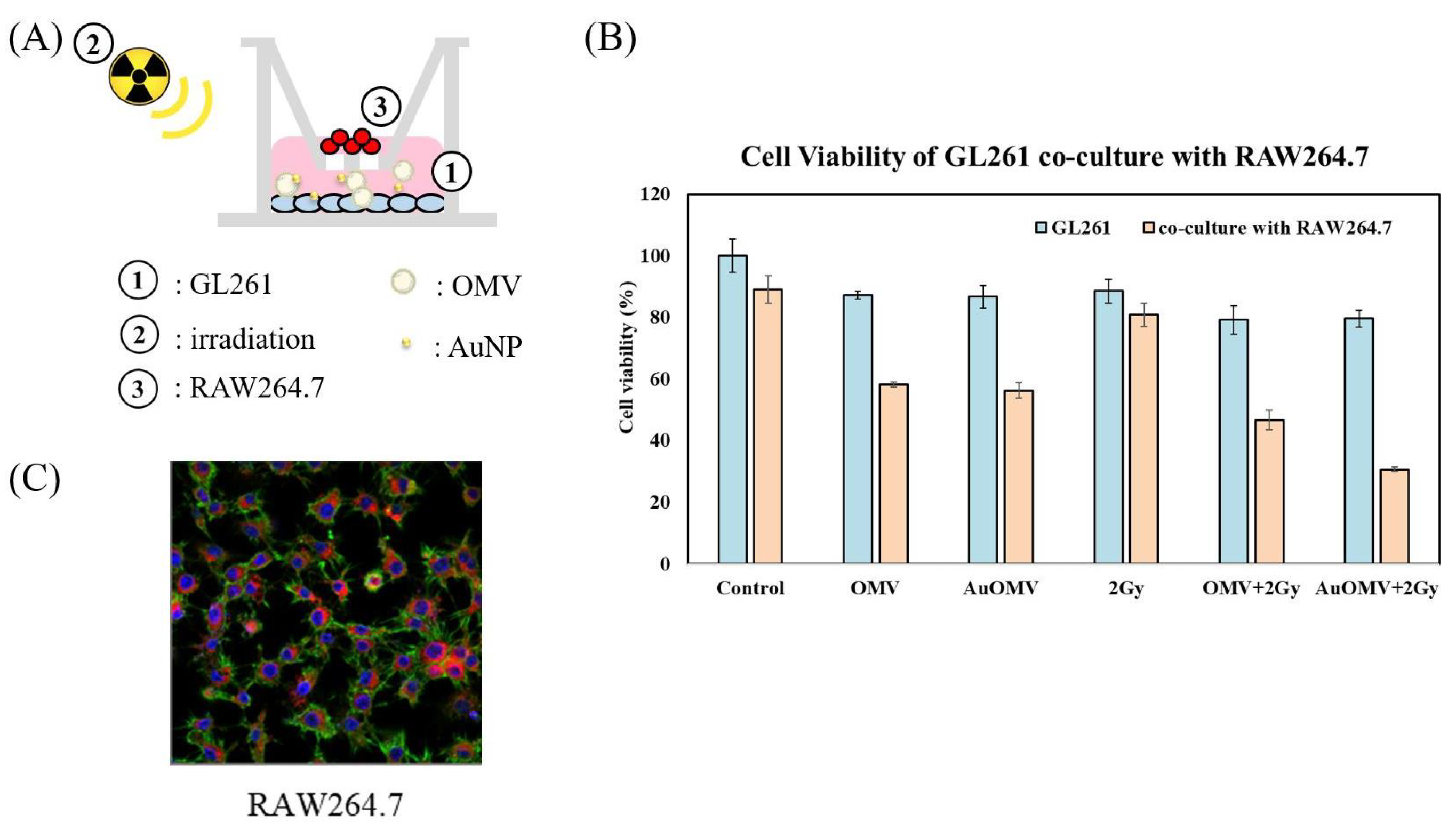 Nanomaterials 11 01661 g003 550