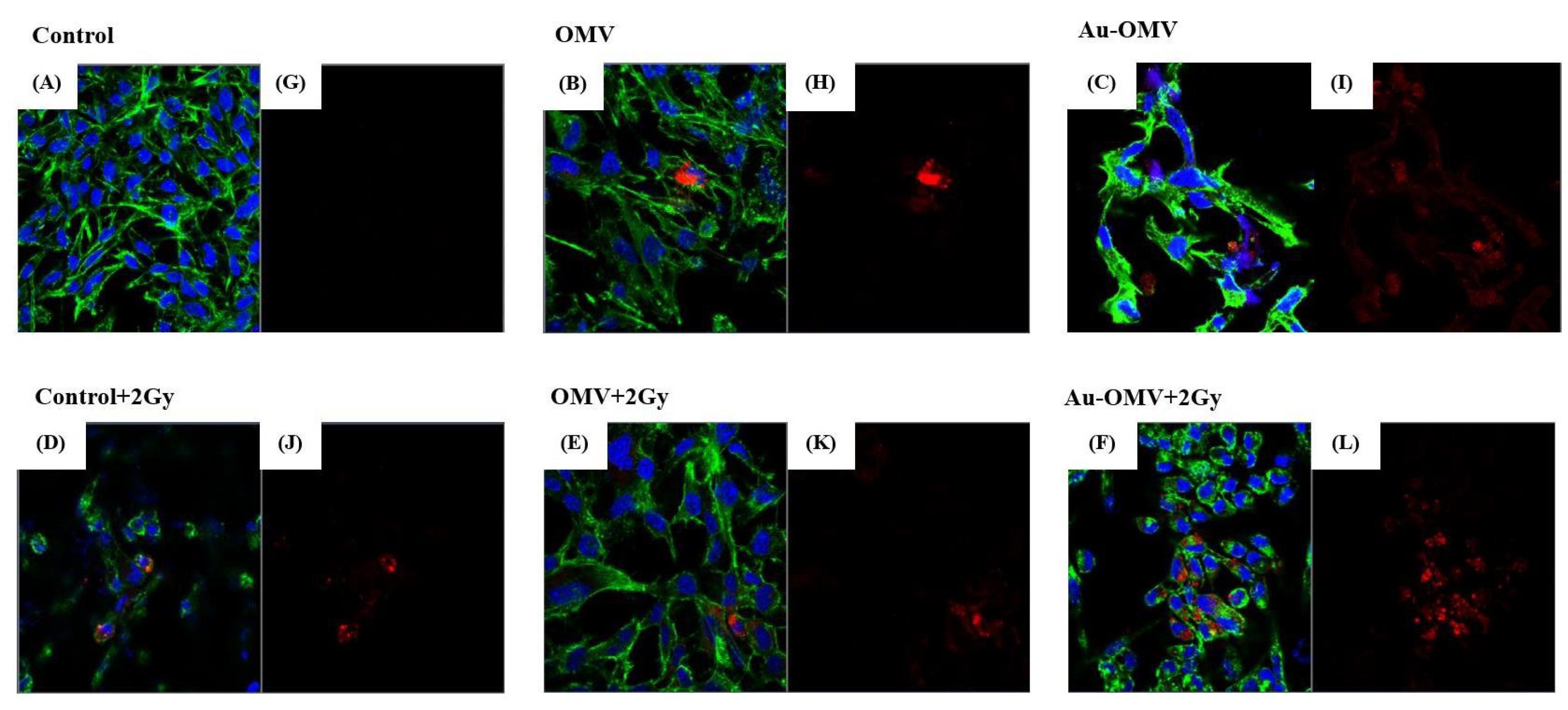 Nanomaterials 11 01661 g004 550