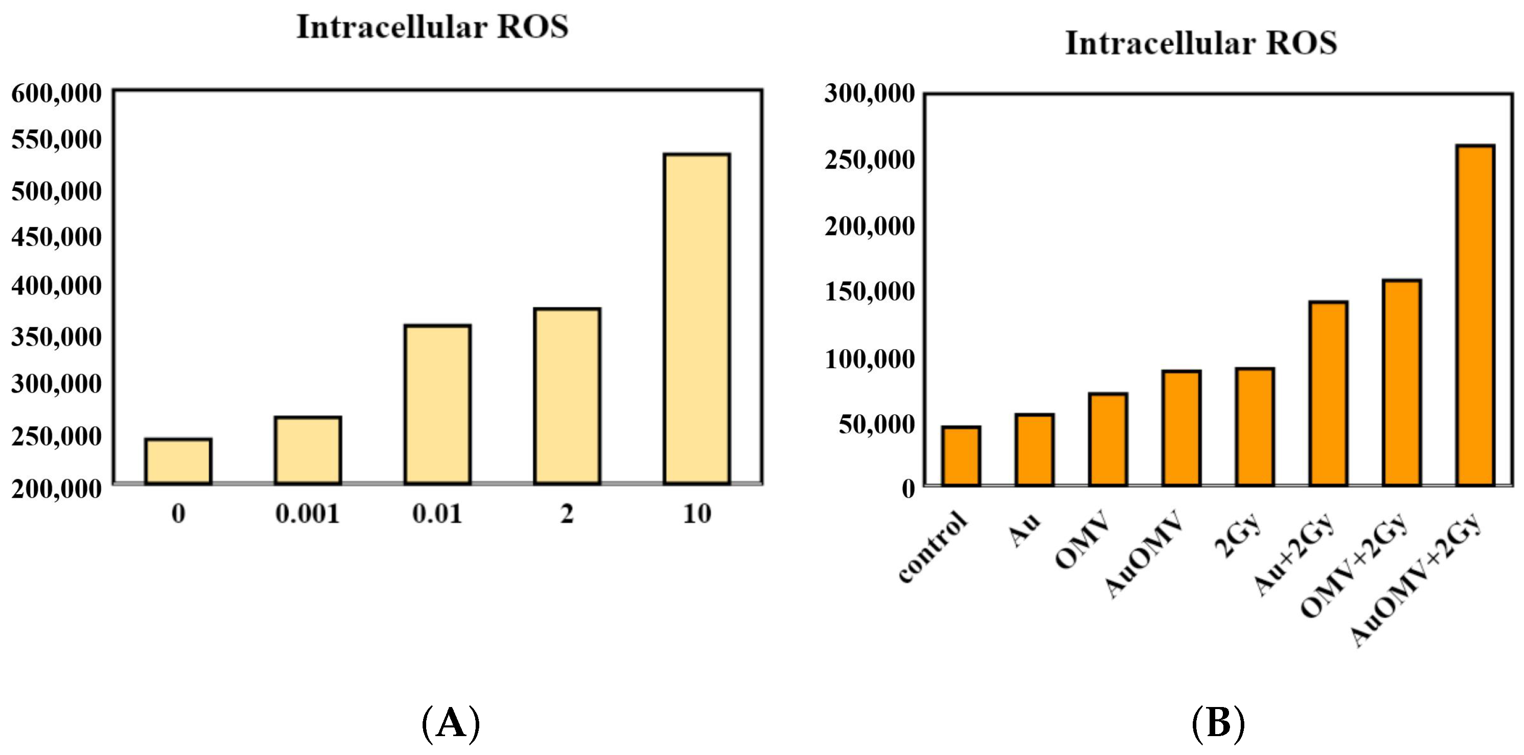 Nanomaterials 11 01661 g005 550