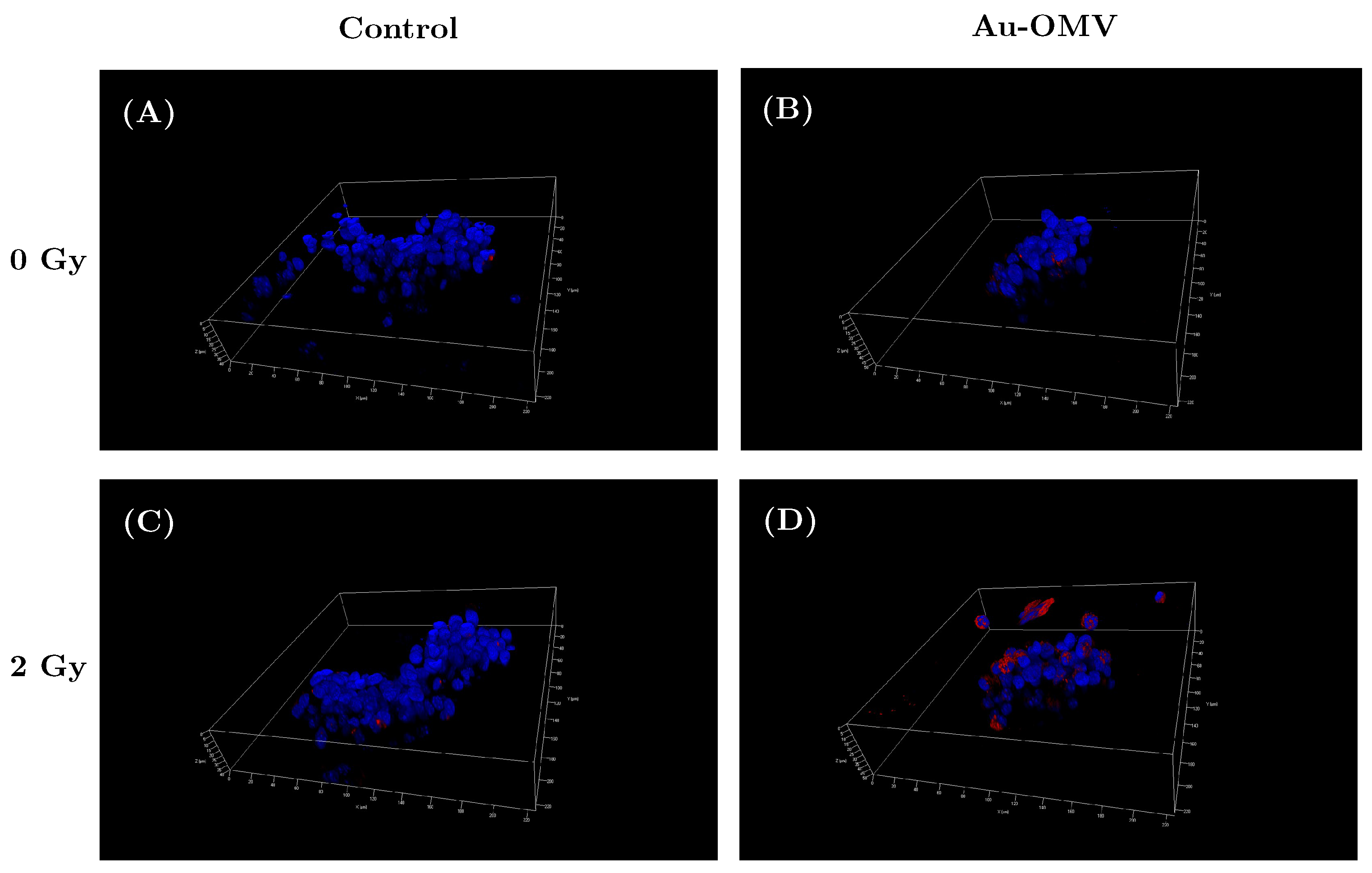 Nanomaterials 11 01661 g006 550