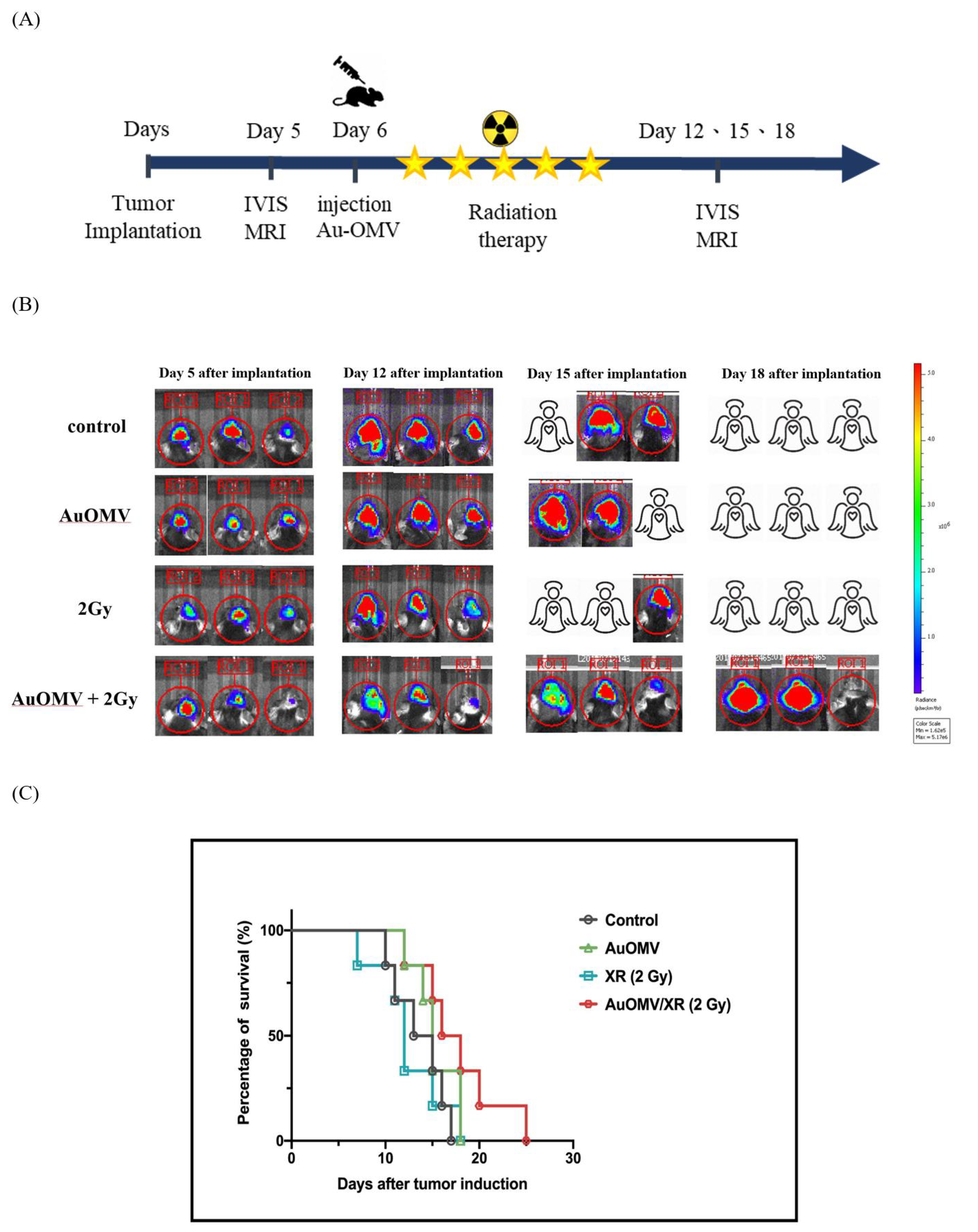 Nanomaterials 11 01661 g009 550
