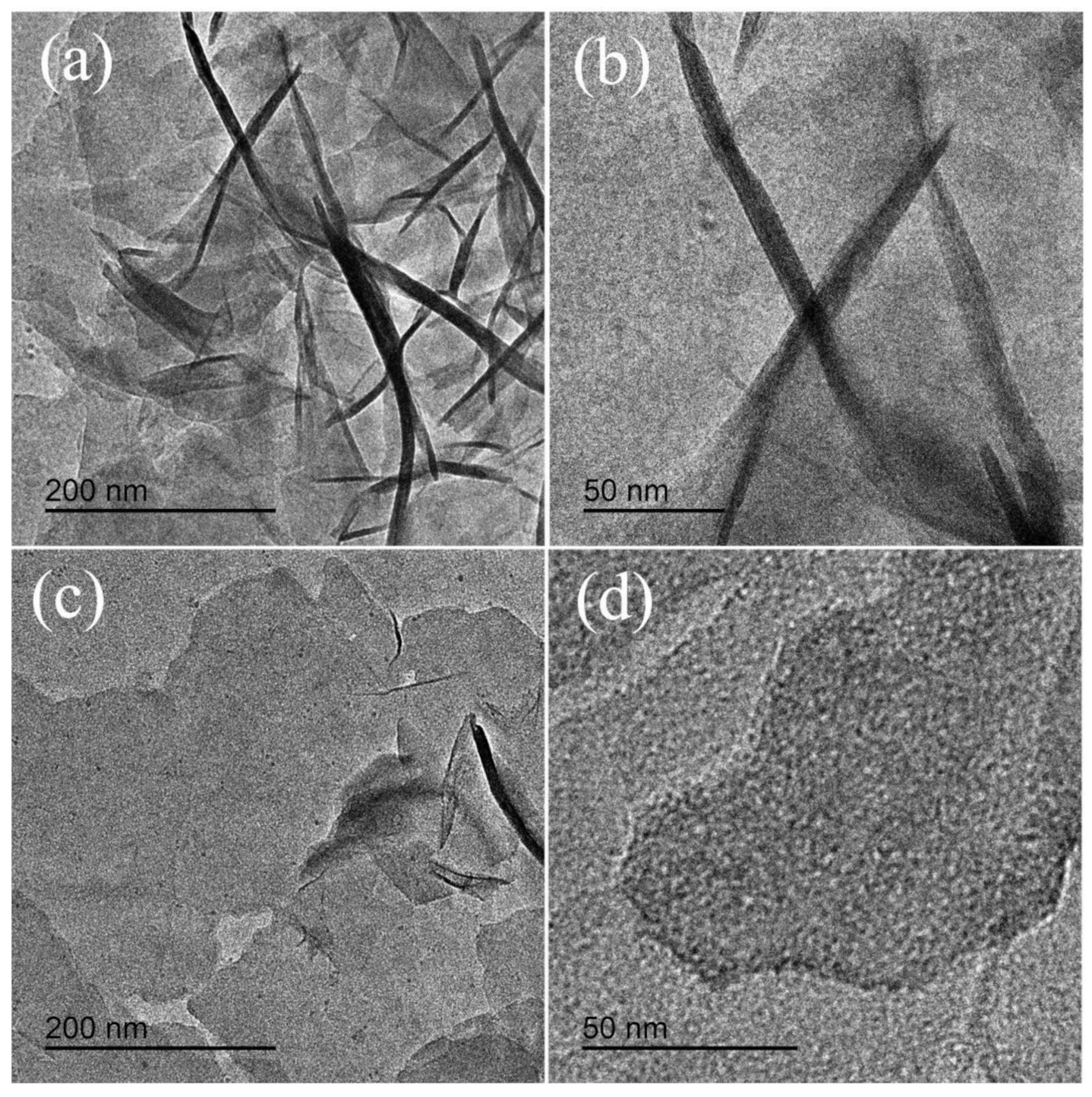 Nanomaterials 11 01662 g003