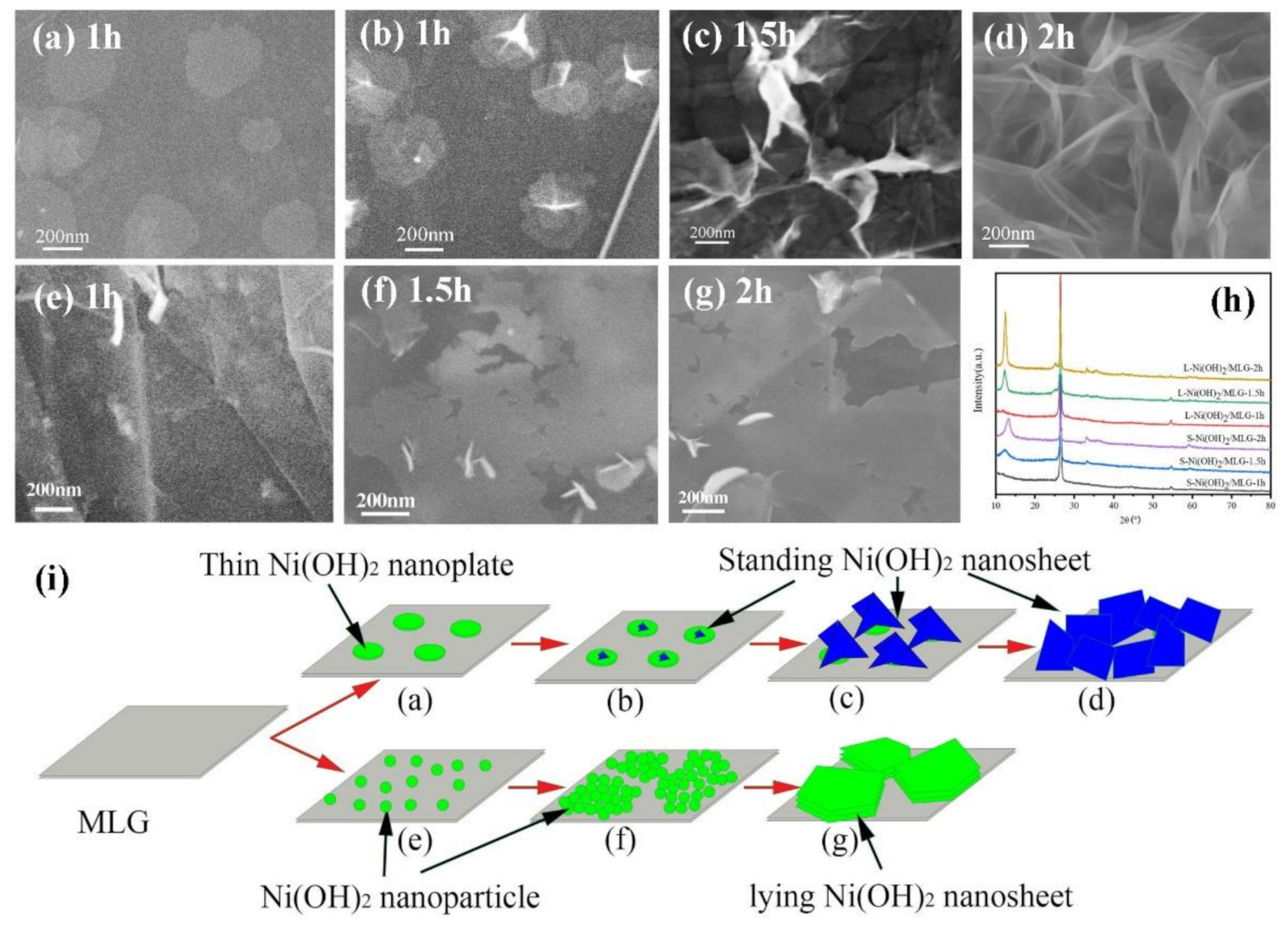 Nanomaterials 11 01662 g005