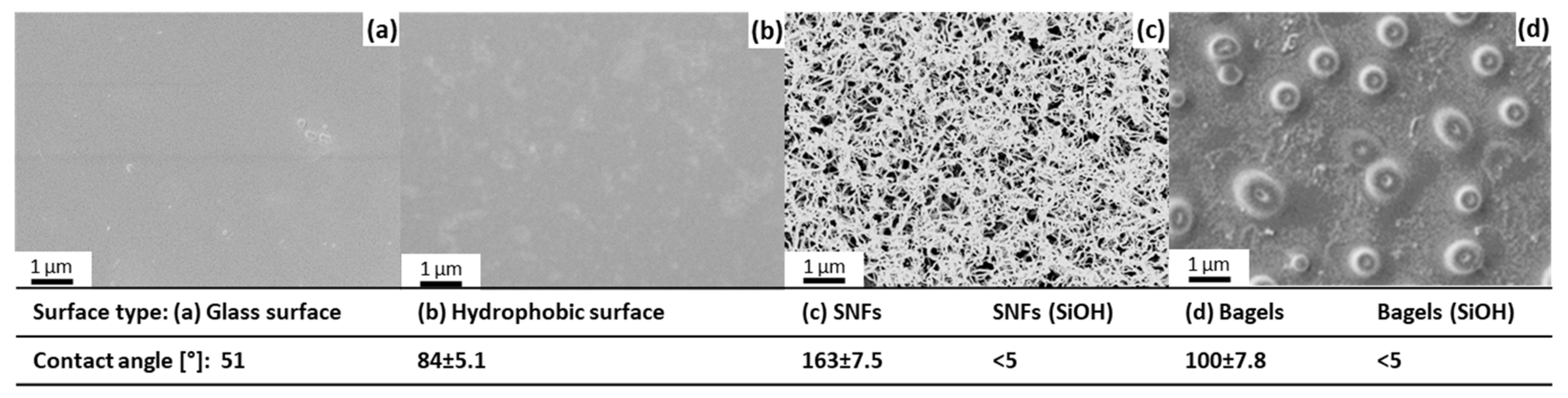 Nanomaterials 11 01663 g003