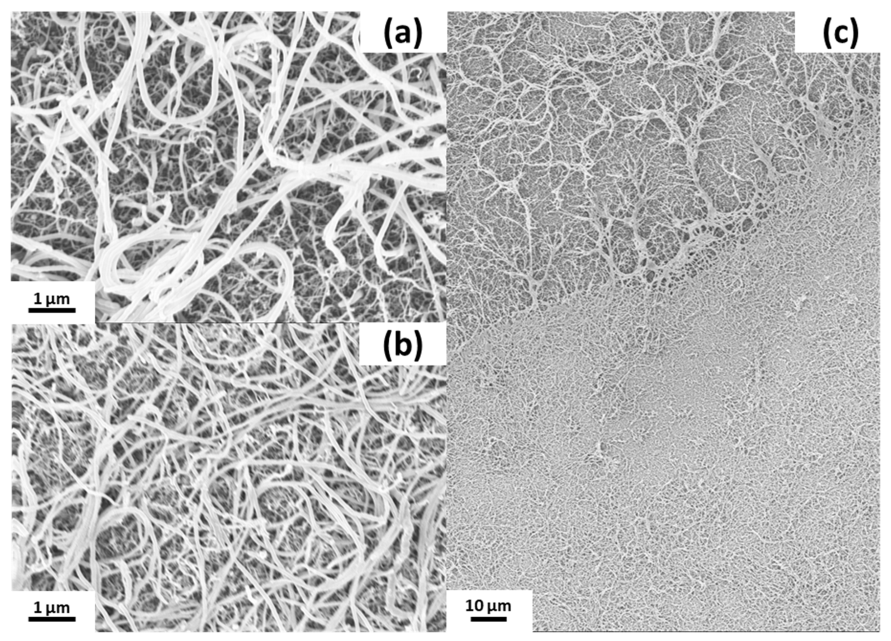 Nanomaterials 11 01663 g005