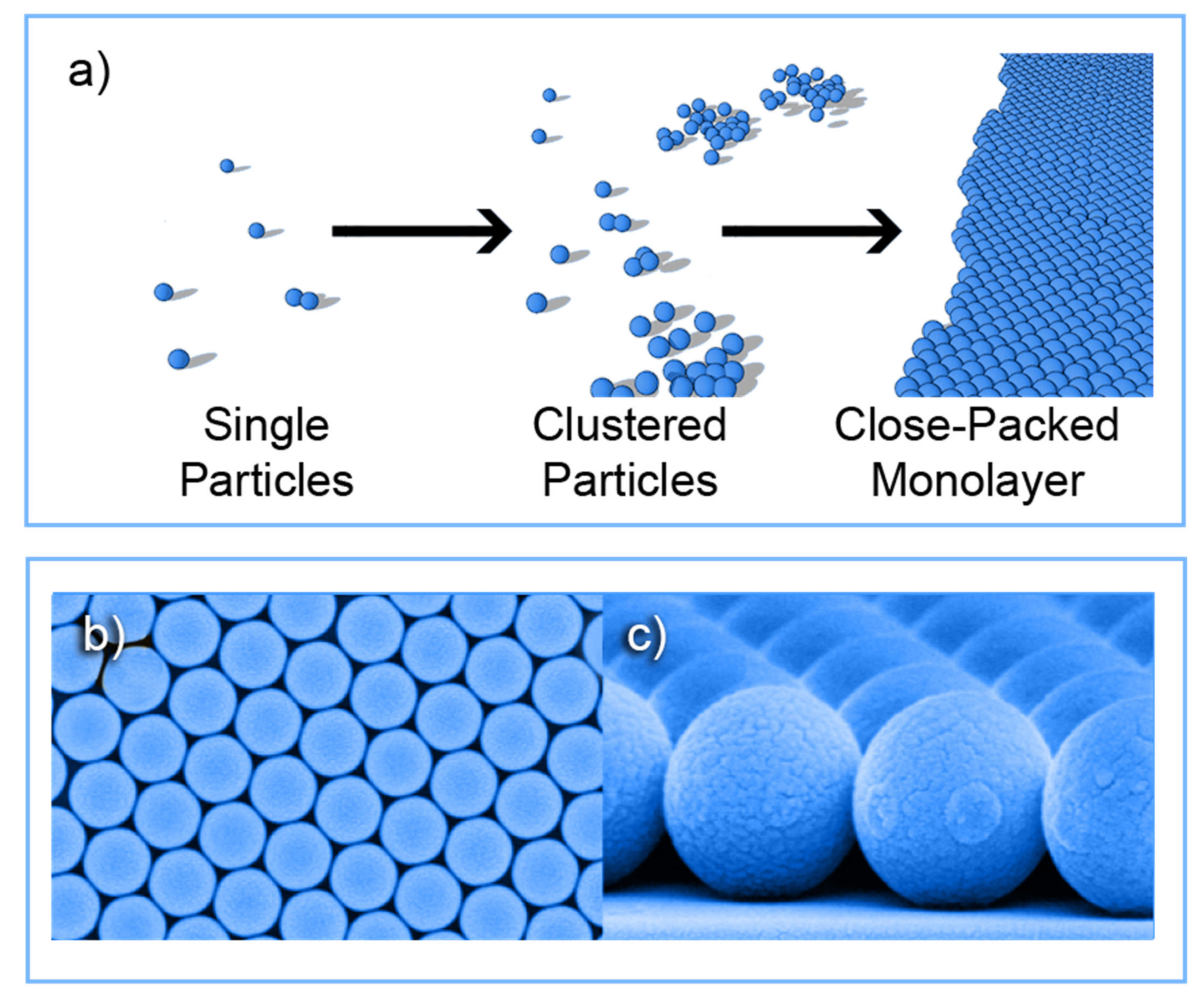 Nanomaterials 11 01665 g003