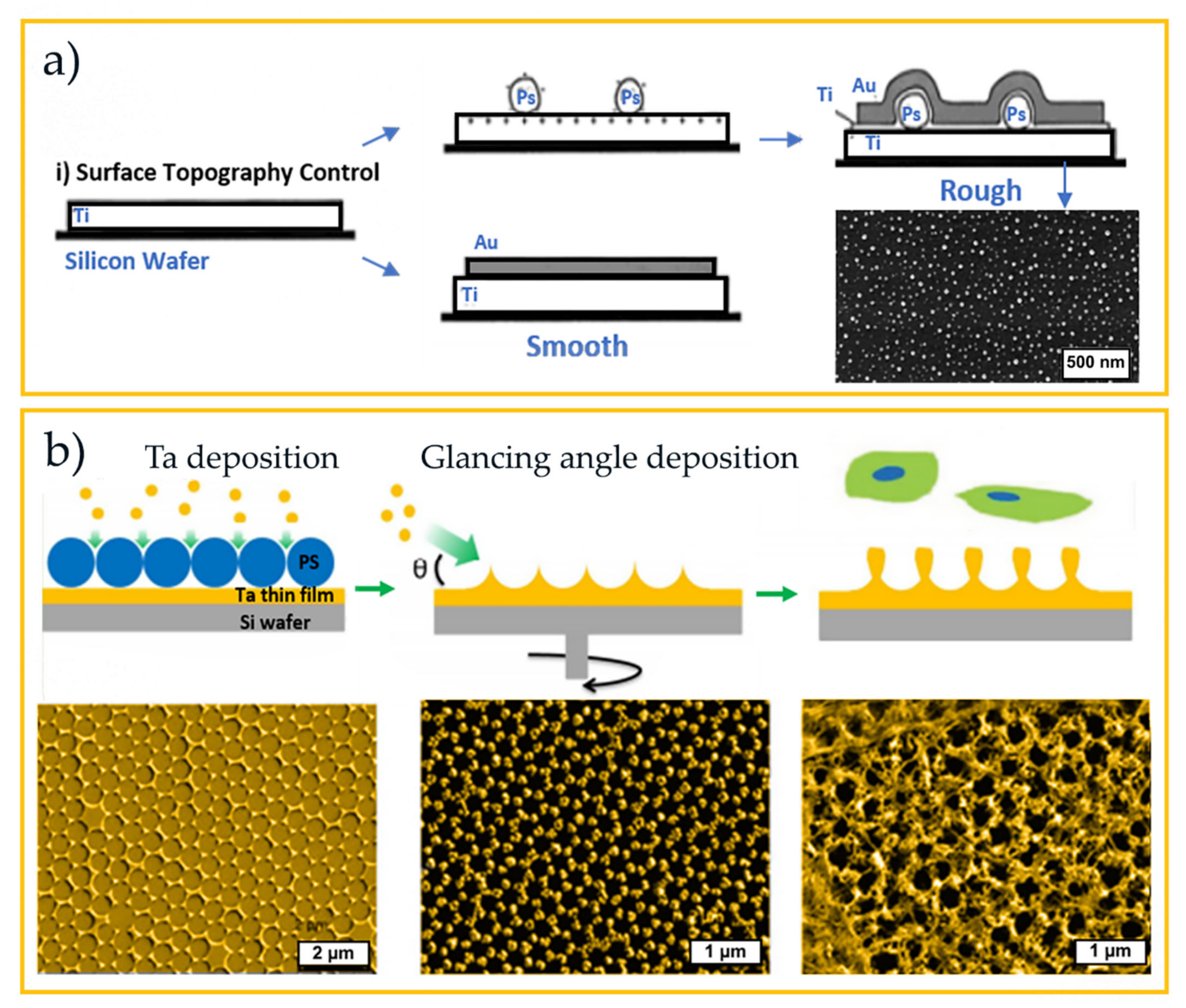 Nanomaterials 11 01665 g018