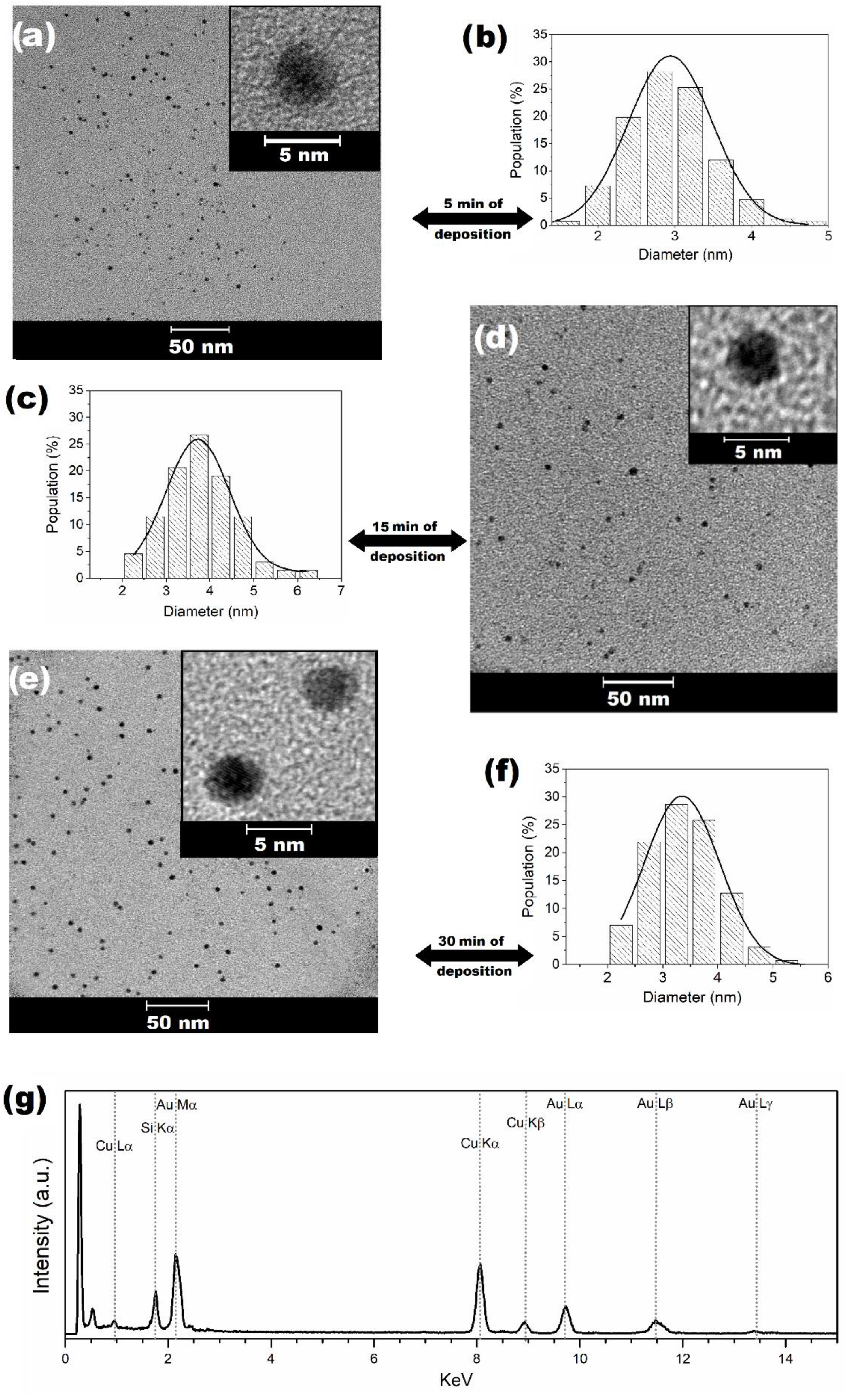 Nanomaterials 11 01668 g001 Nanomaterials 11 01668 g001
