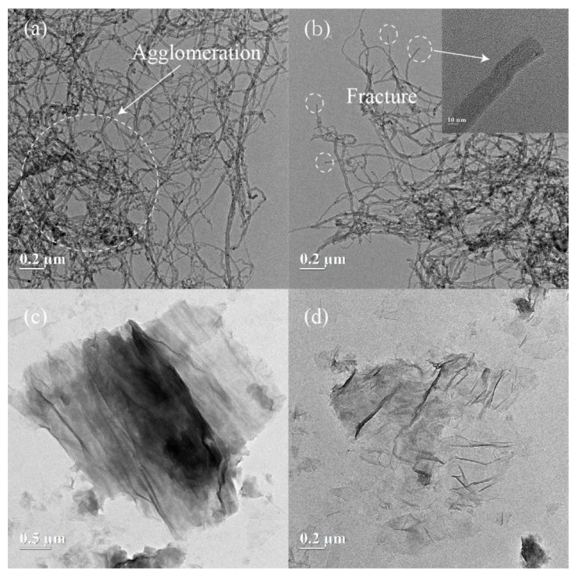 Nanomaterials 11 01669 g003