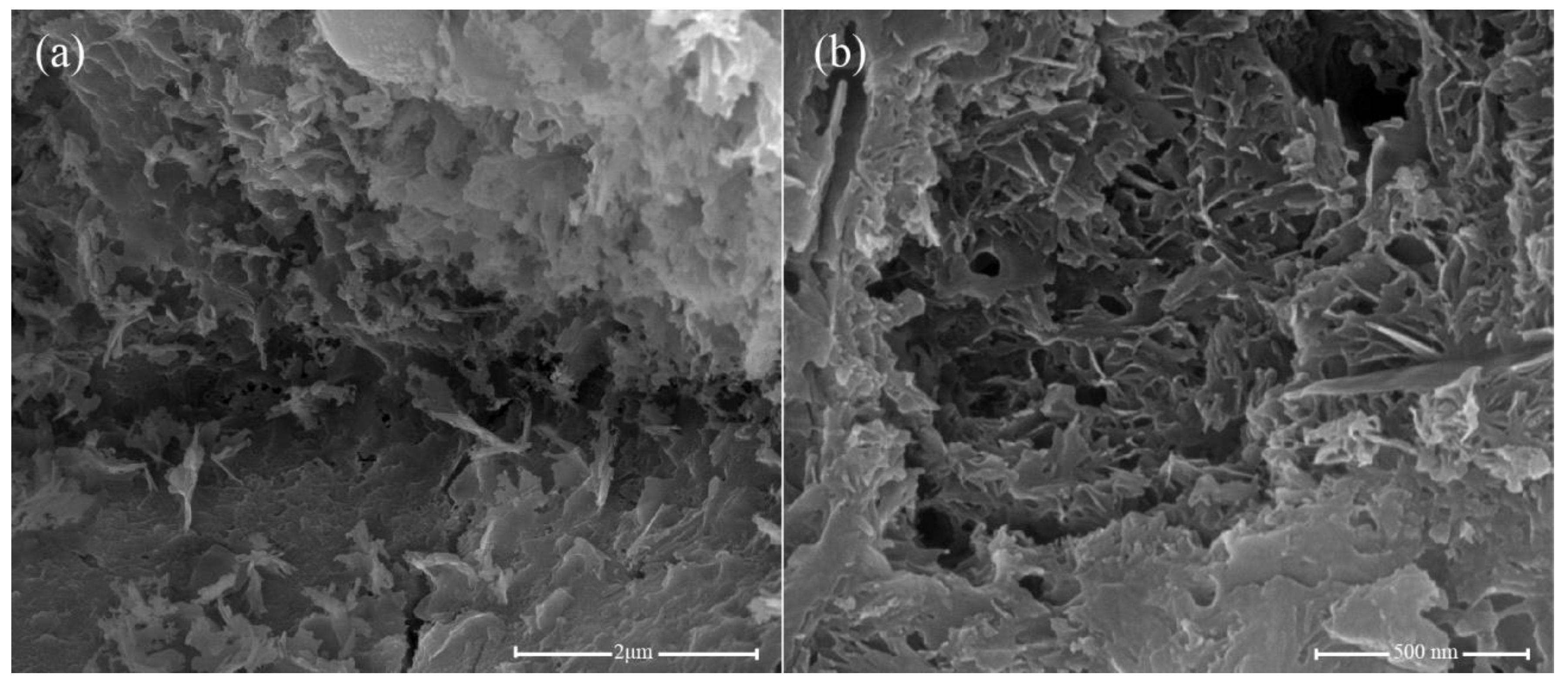 Nanomaterials 11 01669 g012