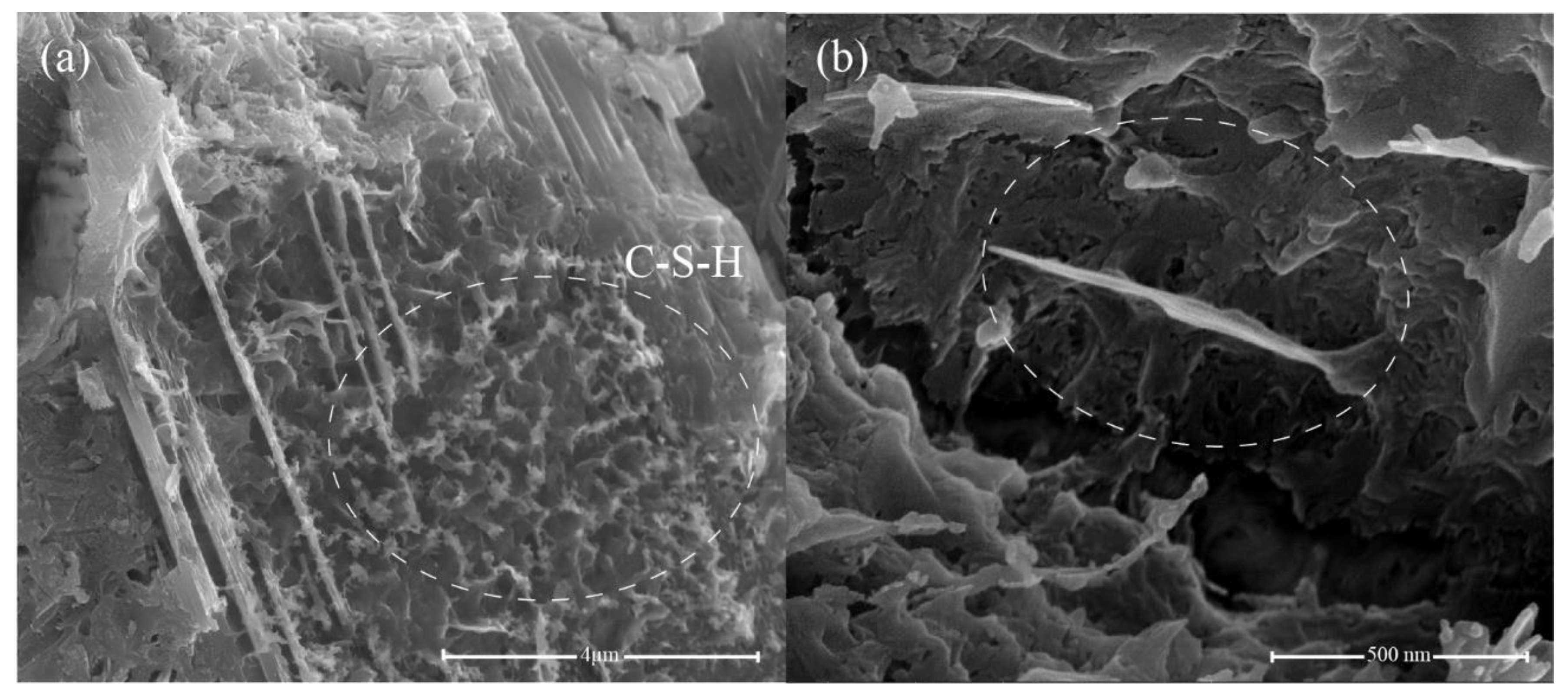 Nanomaterials 11 01669 g015