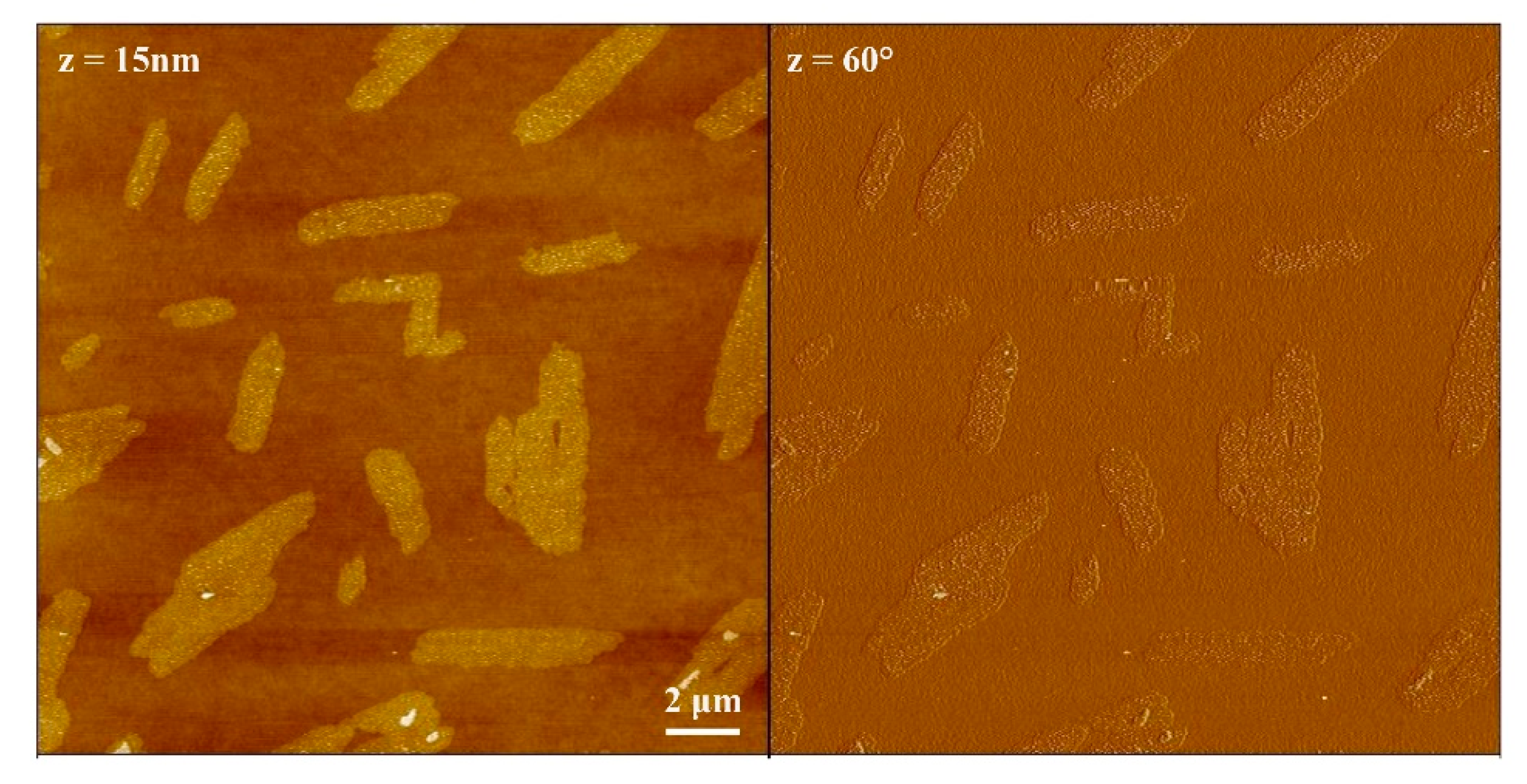 Nanomaterials 11 01673 g005 550