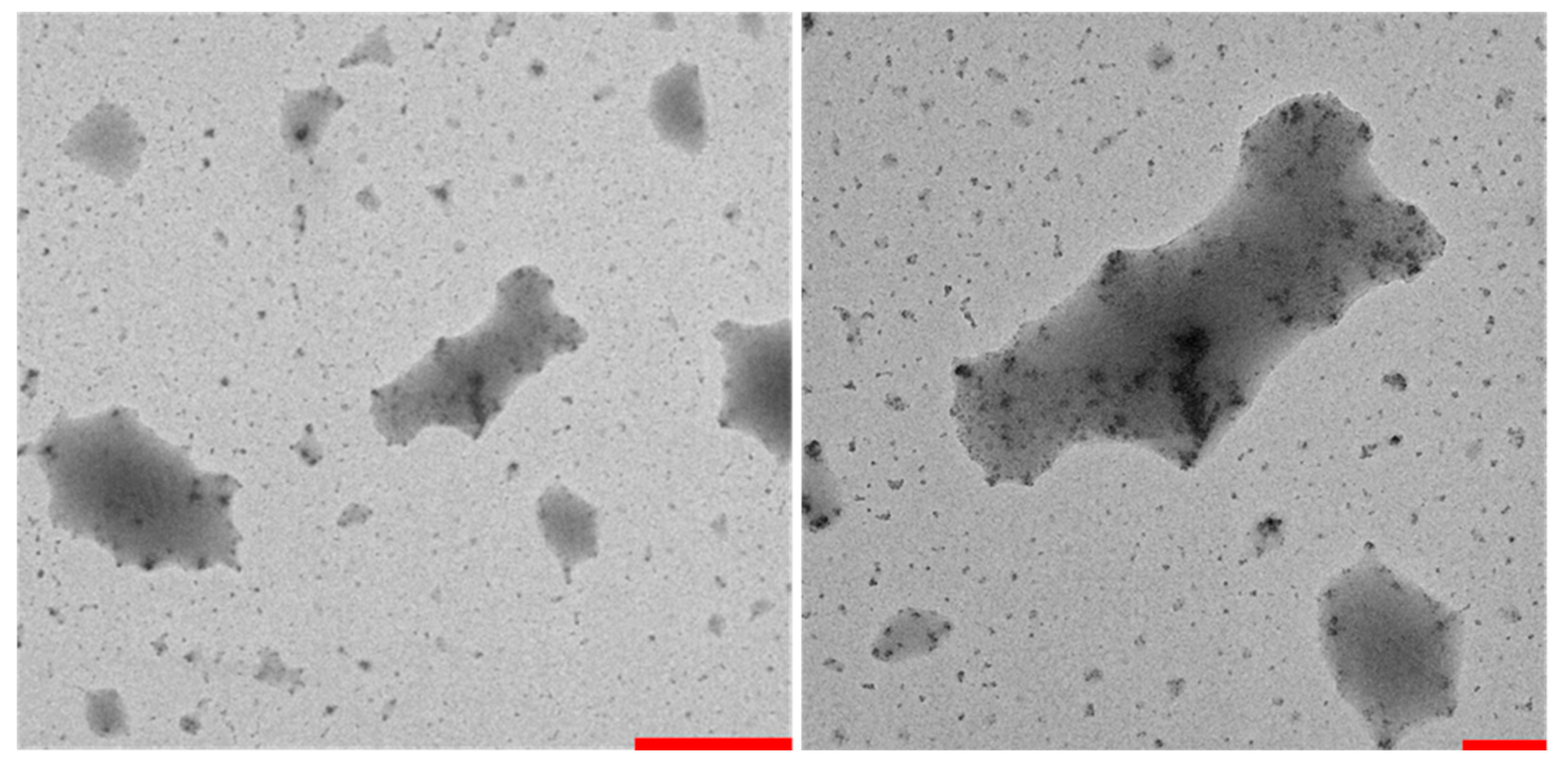 Nanomaterials 11 01673 g007 550