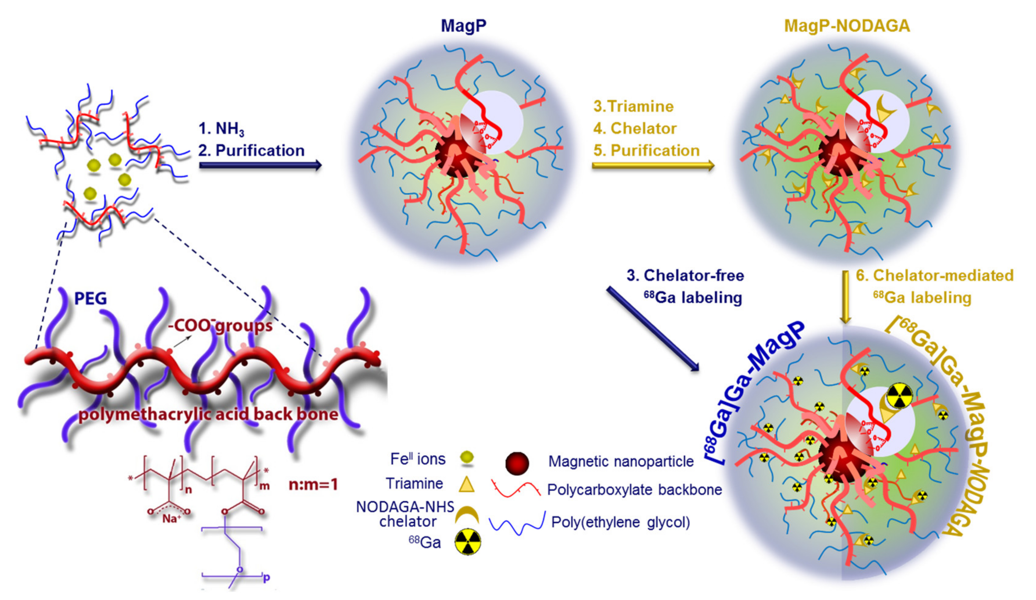 Nanomaterials 11 01677 g001