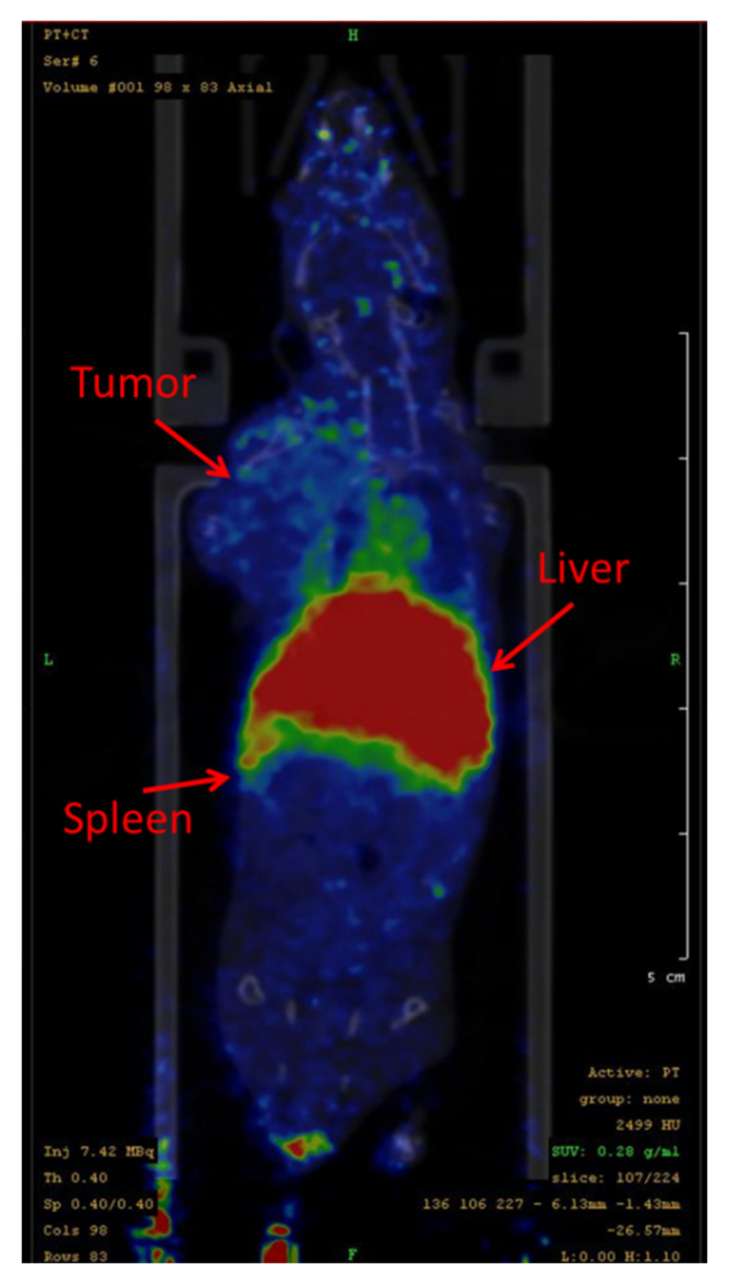Nanomaterials 11 01677 sch001