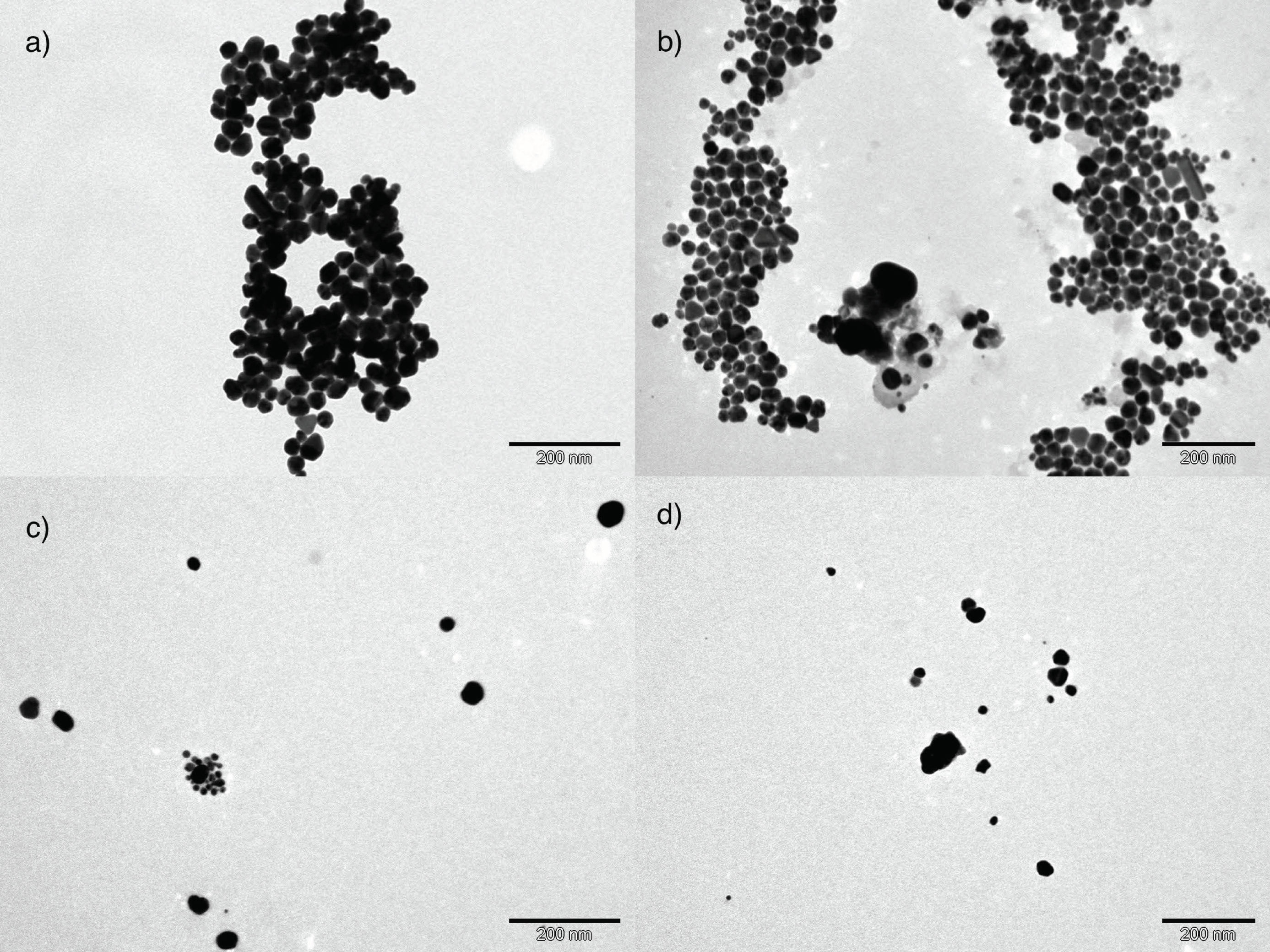 Nanomaterials 11 01679 g005