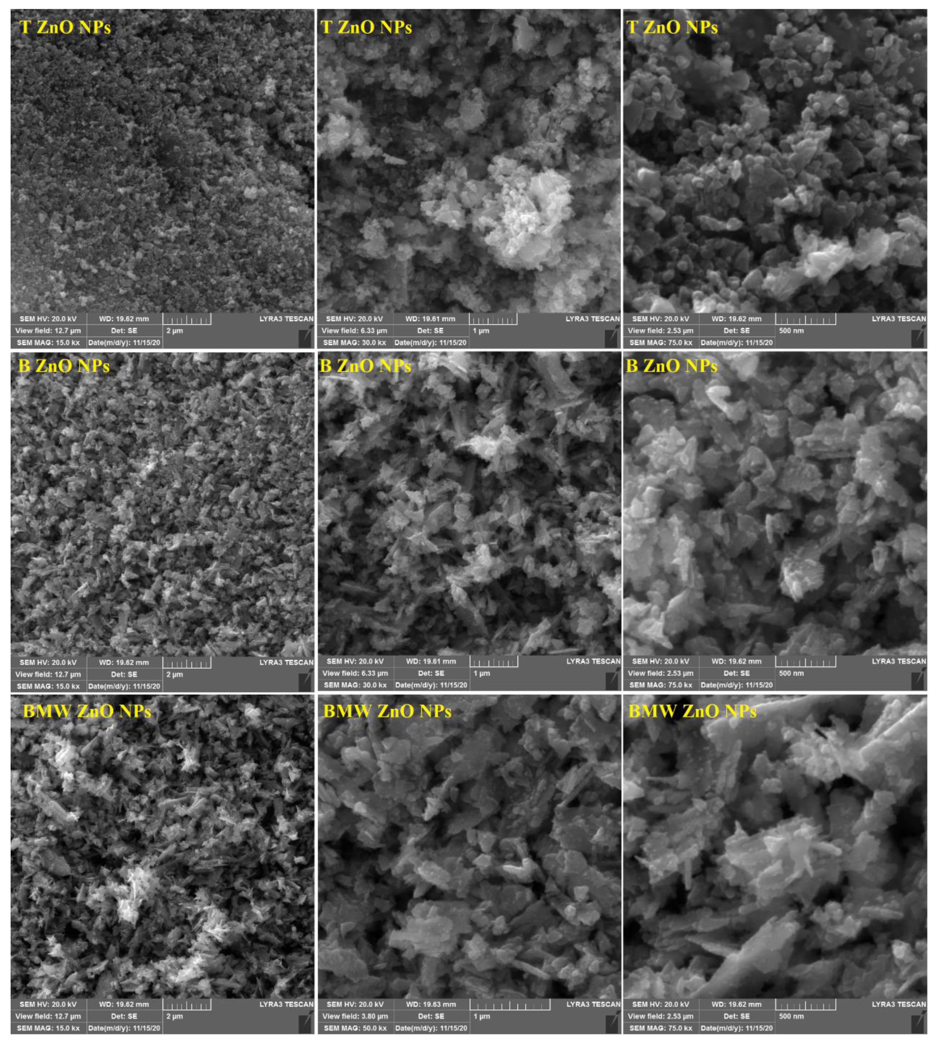 Nanomaterials 11 01682 g003