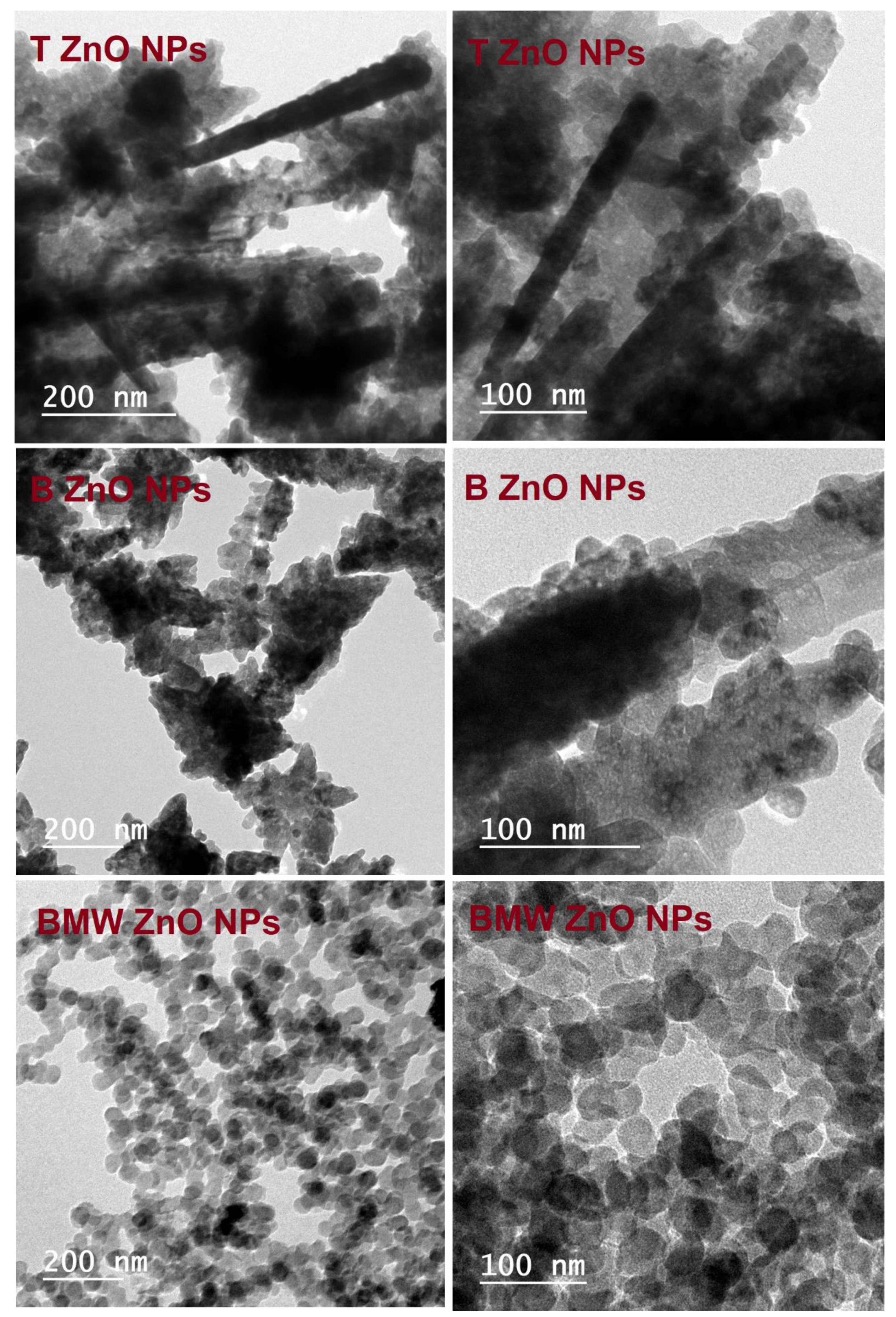 Nanomaterials 11 01682 g004