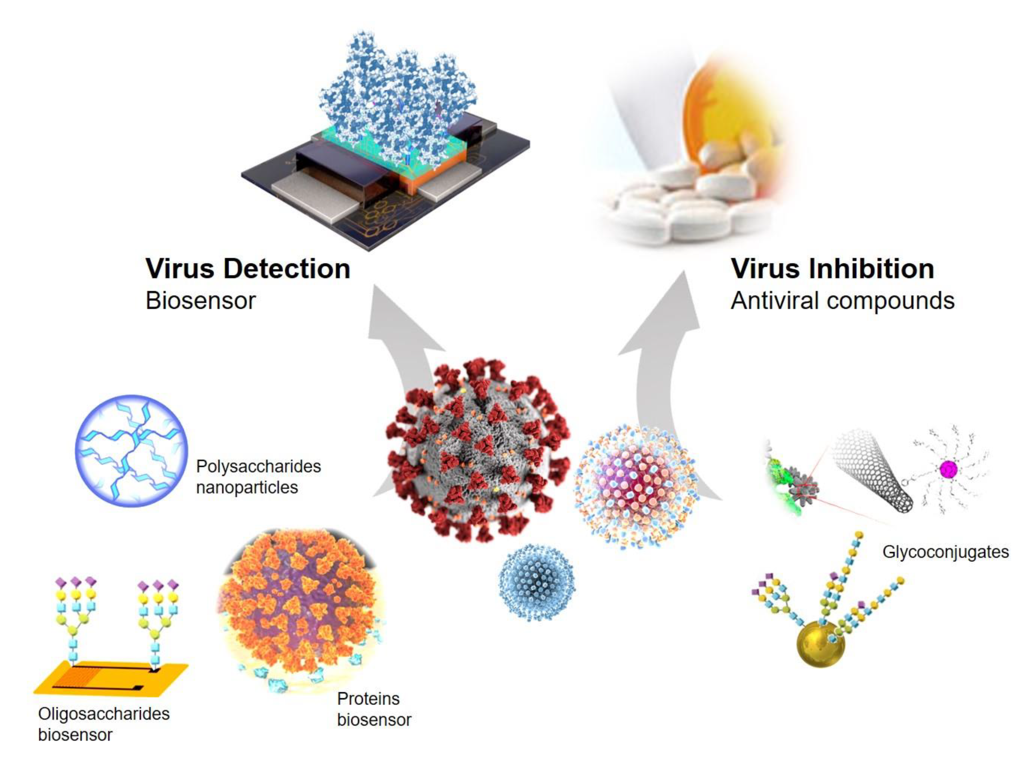 Nanomaterials 11 01684 g001