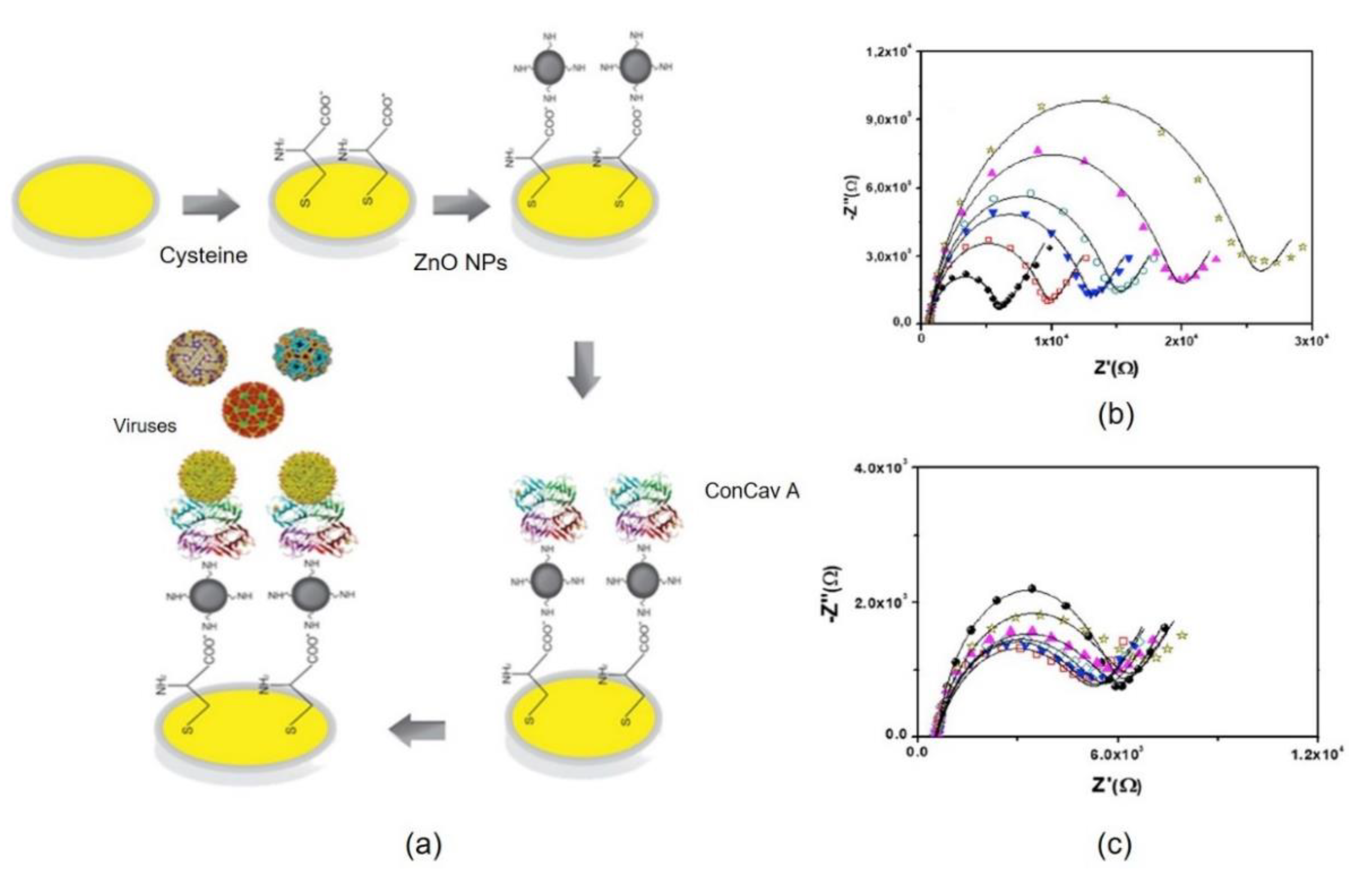 Nanomaterials 11 01684 g002