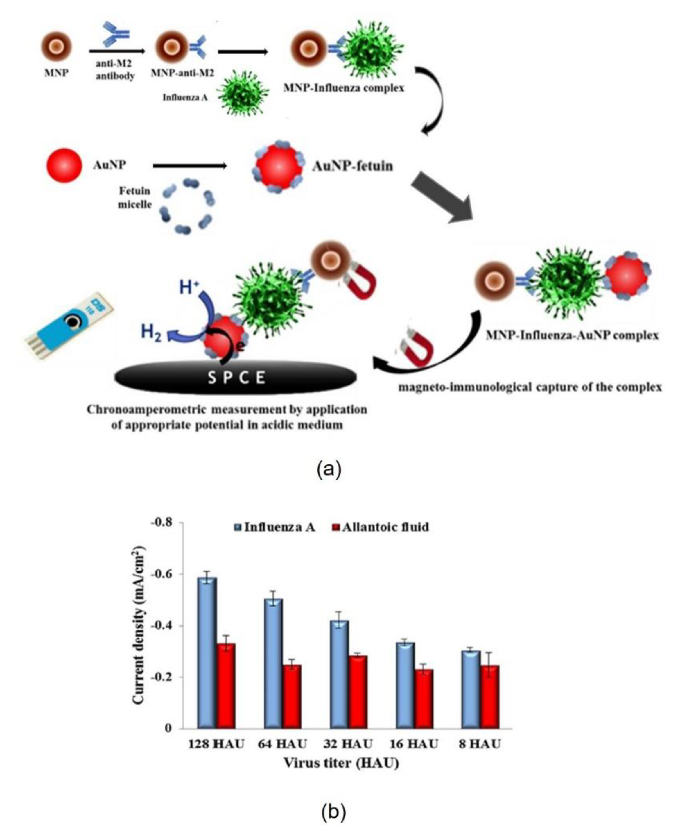 Nanomaterials 11 01684 g003