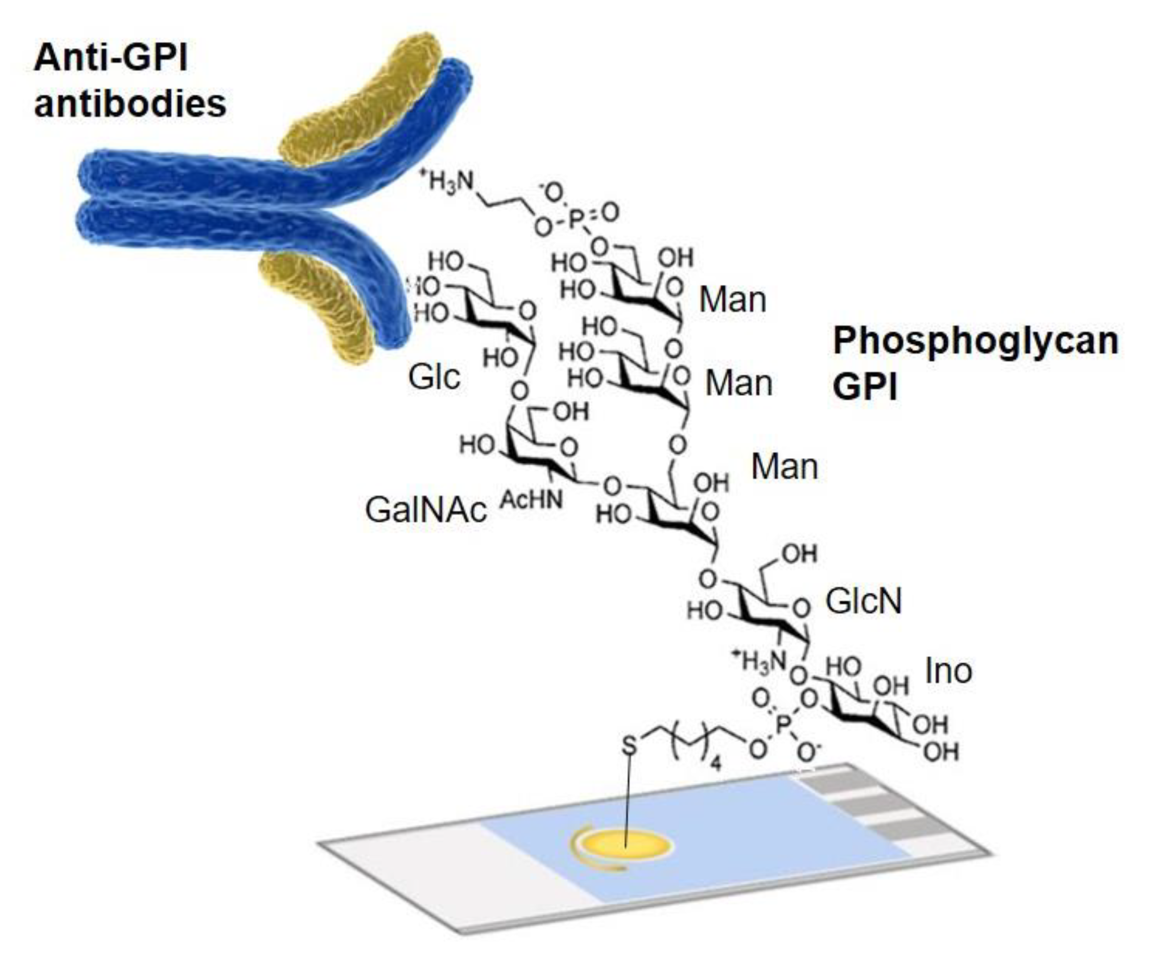 Nanomaterials 11 01684 g008