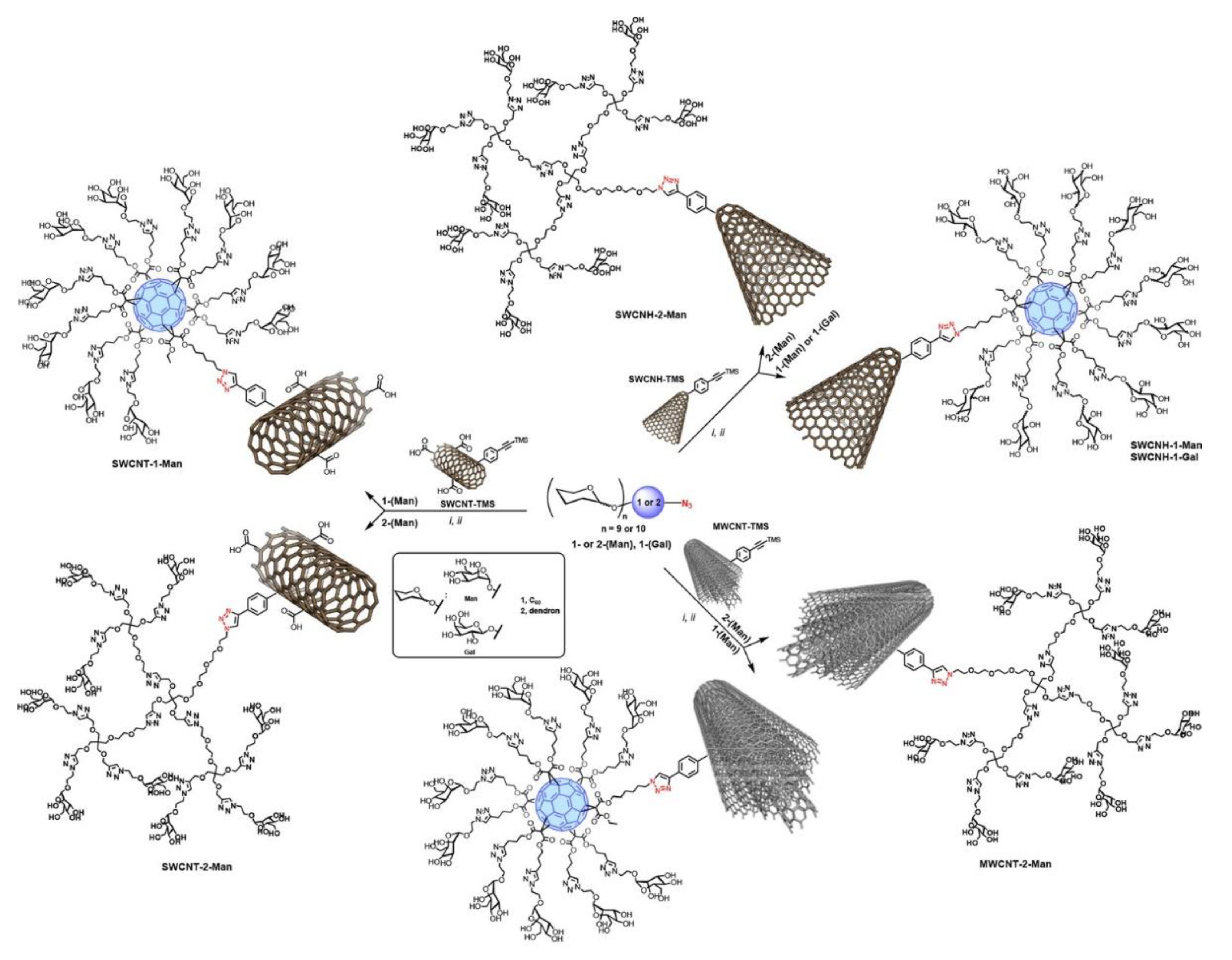 Nanomaterials 11 01684 g010