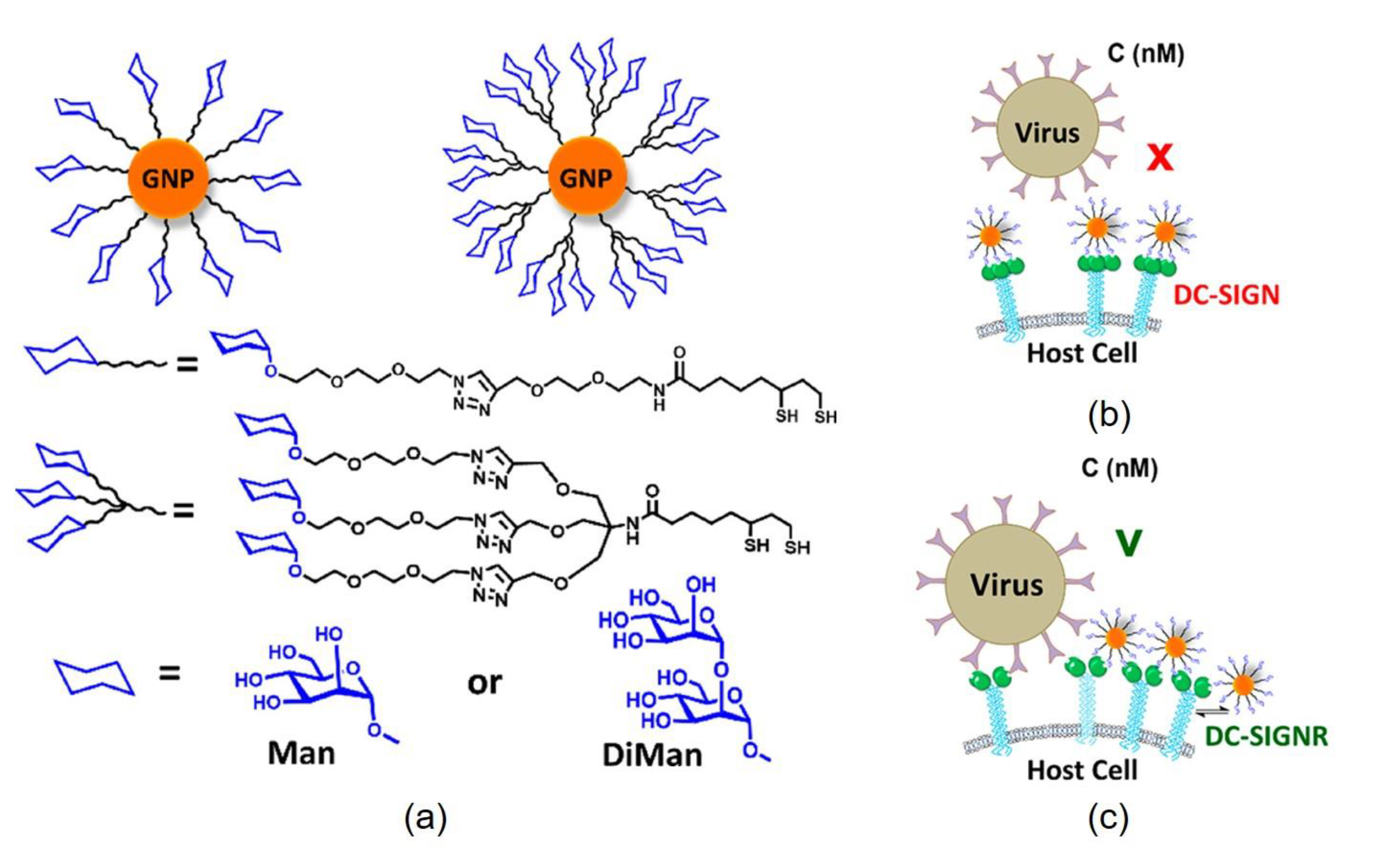 Nanomaterials 11 01684 g011