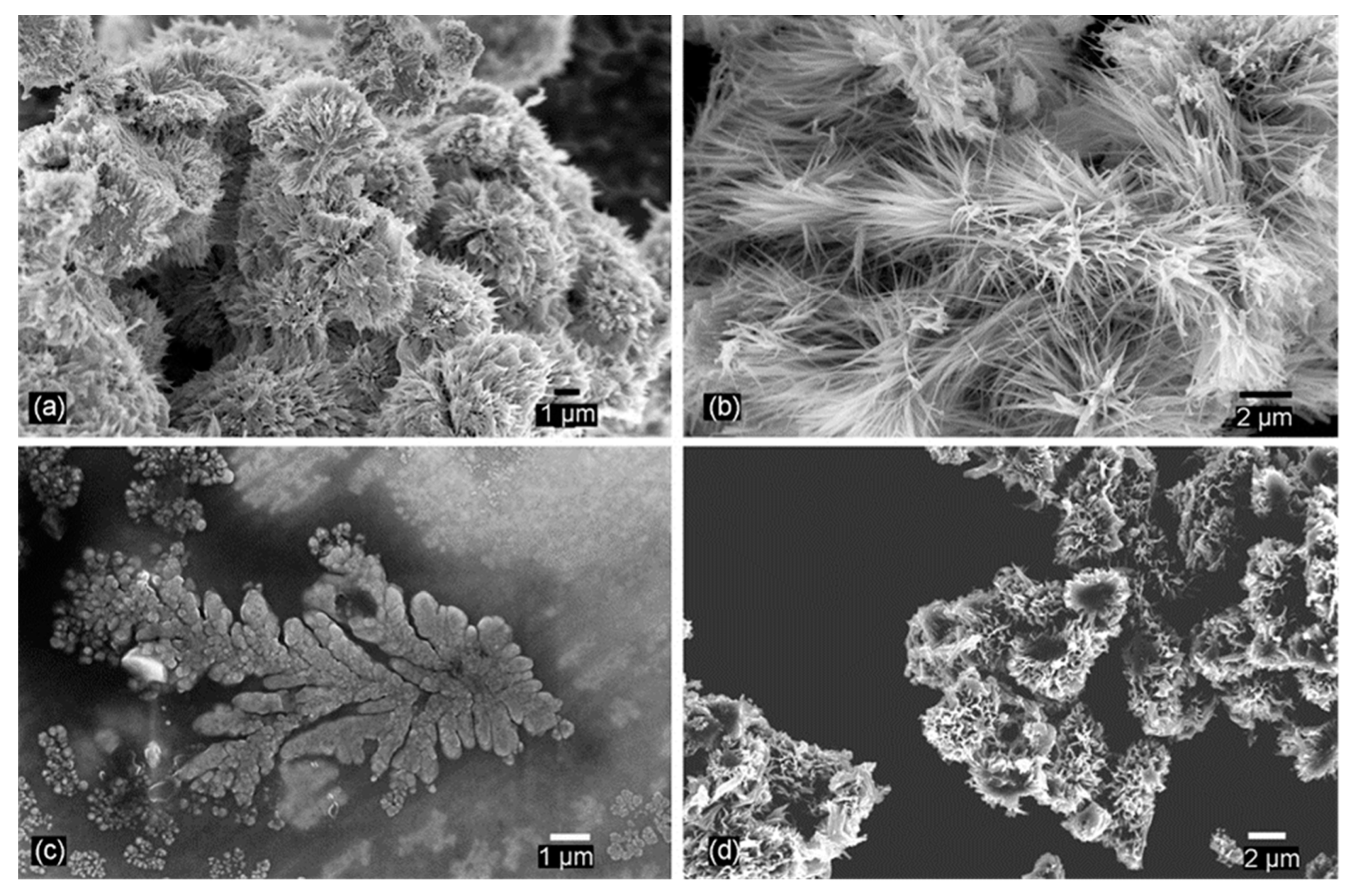 Nanomaterials 11 01686 g002