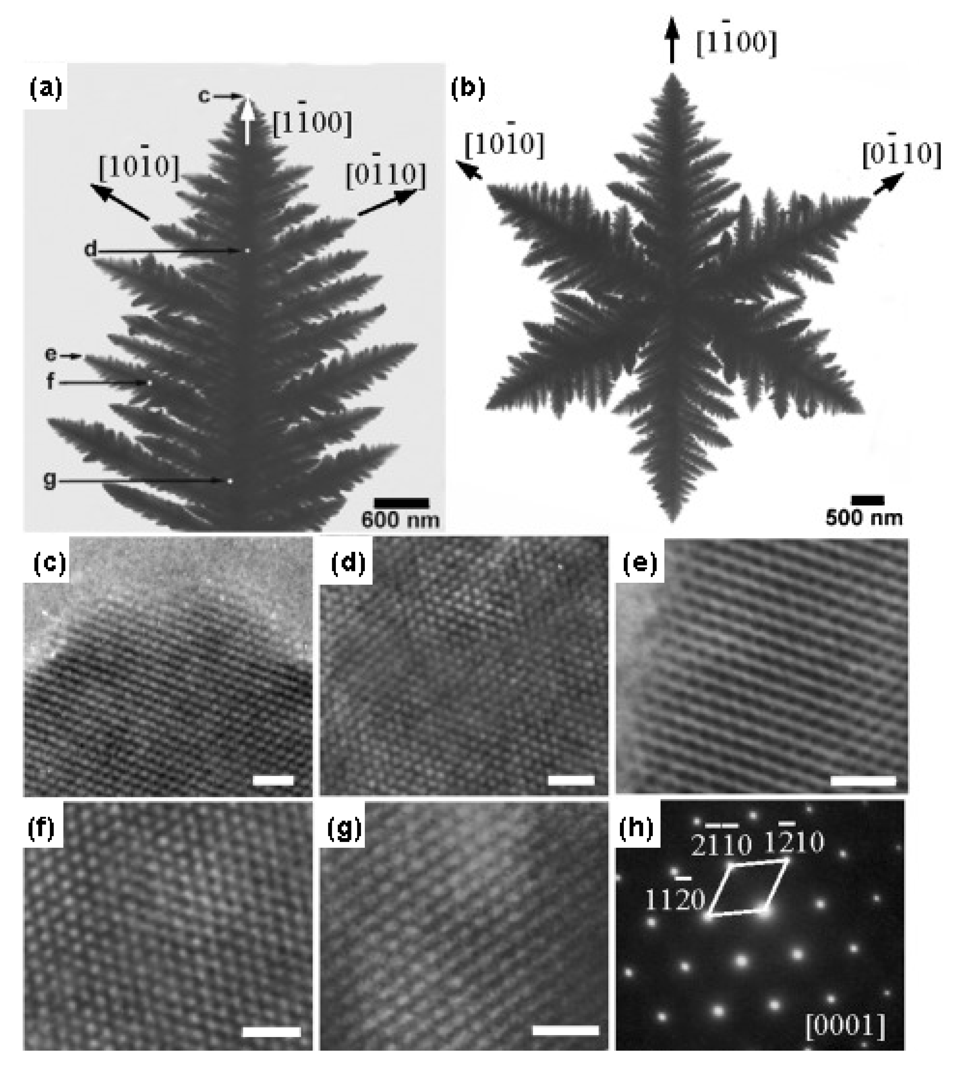 Nanomaterials 11 01686 g009