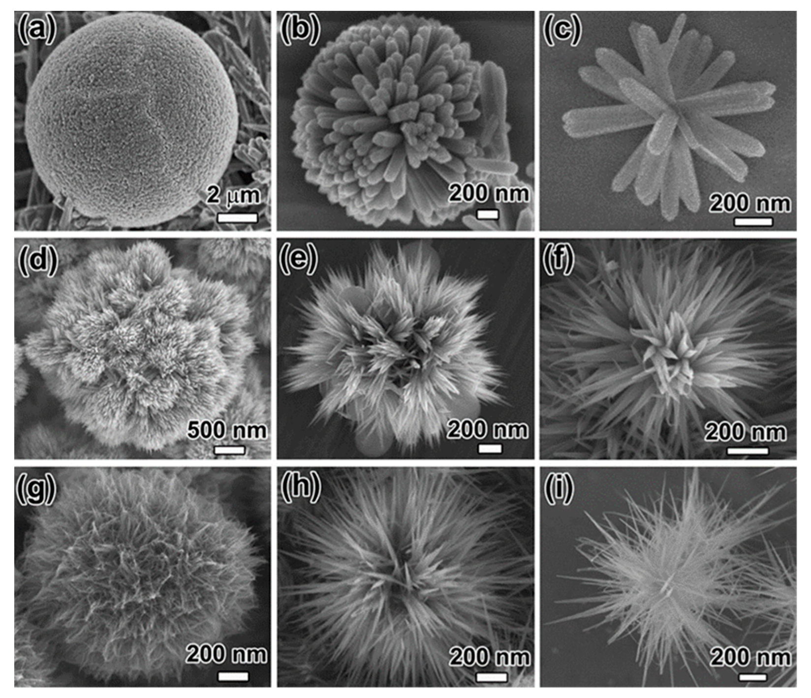 Nanomaterials 11 01686 g010