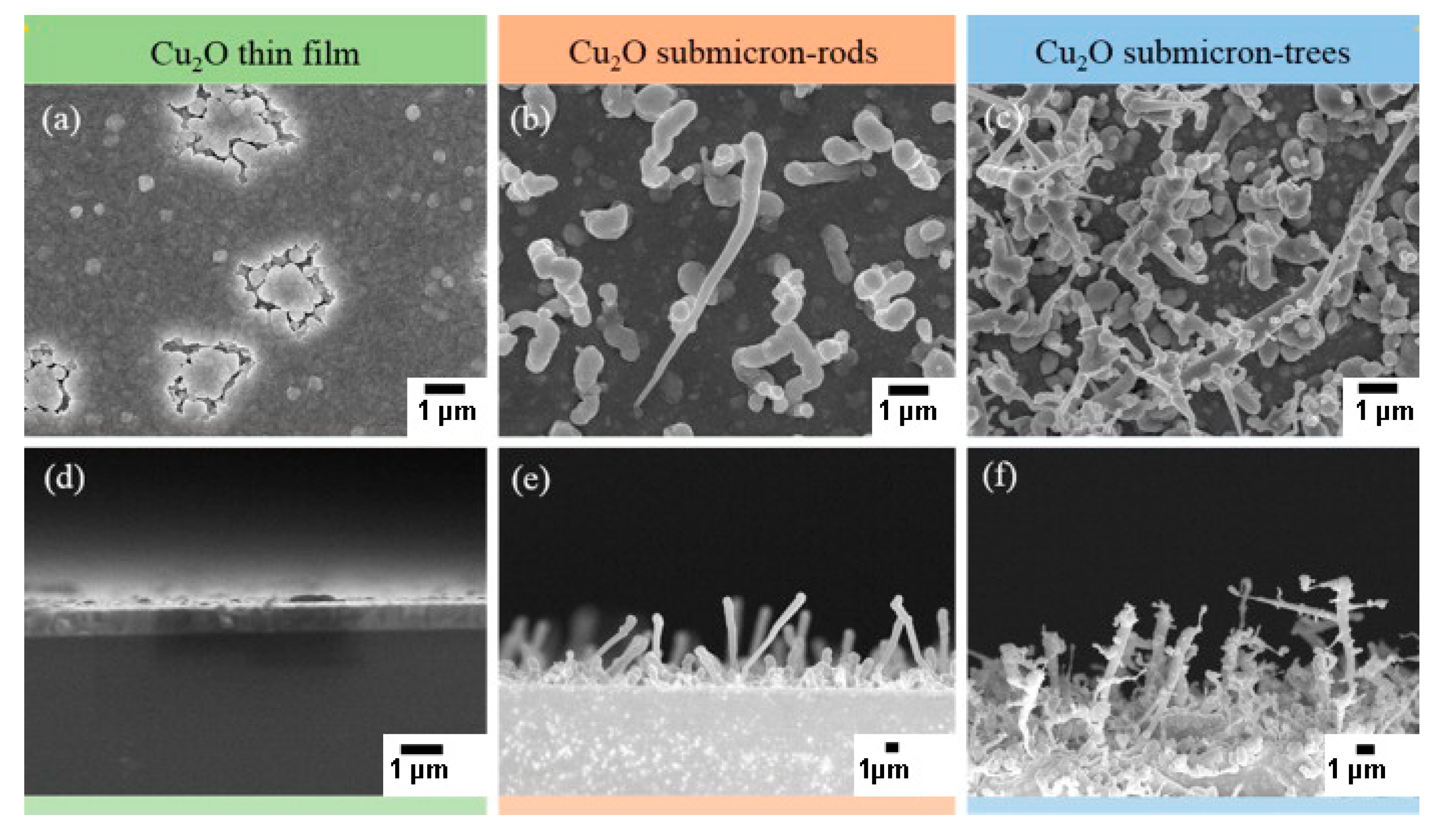 Nanomaterials 11 01686 g012