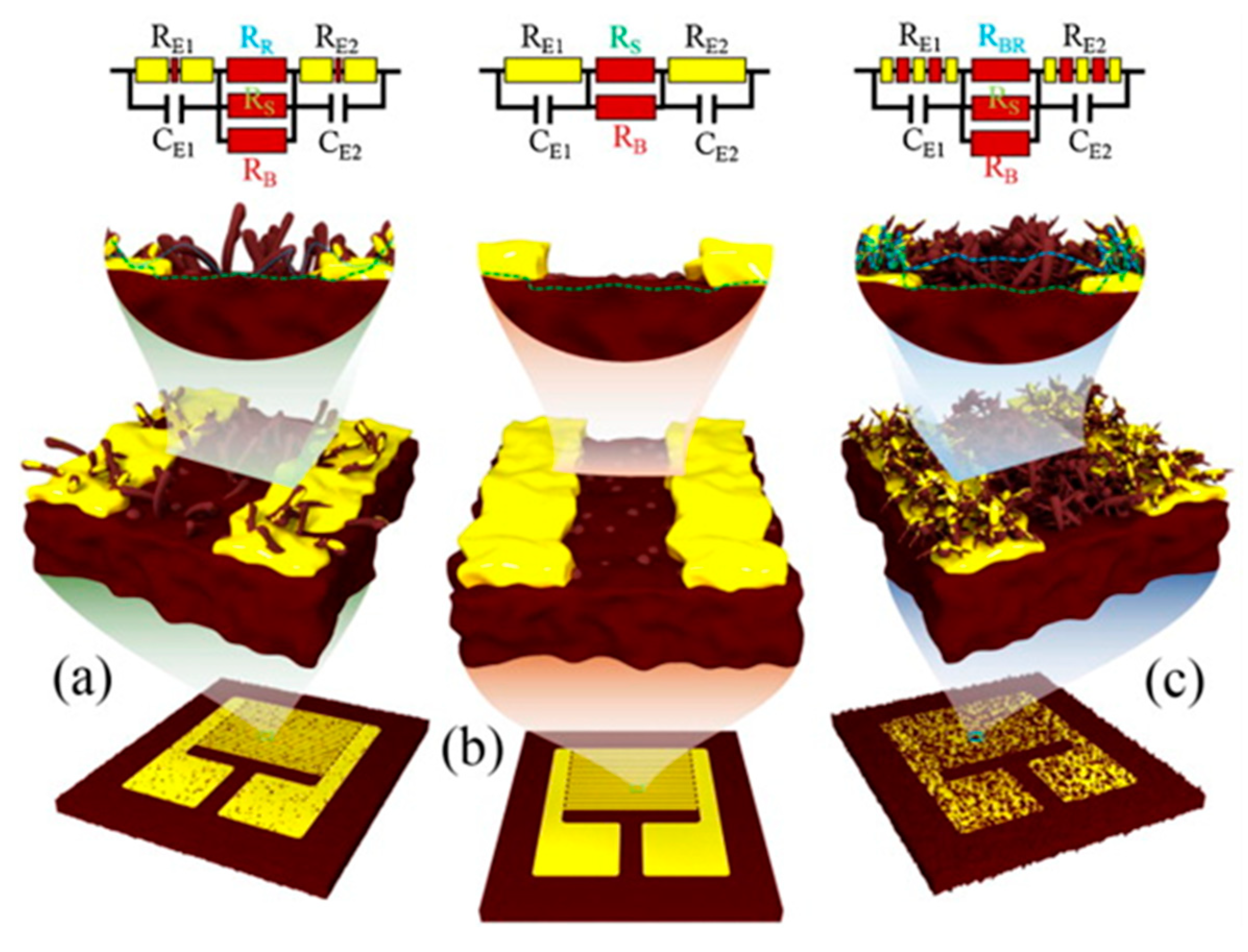 Nanomaterials 11 01686 g013
