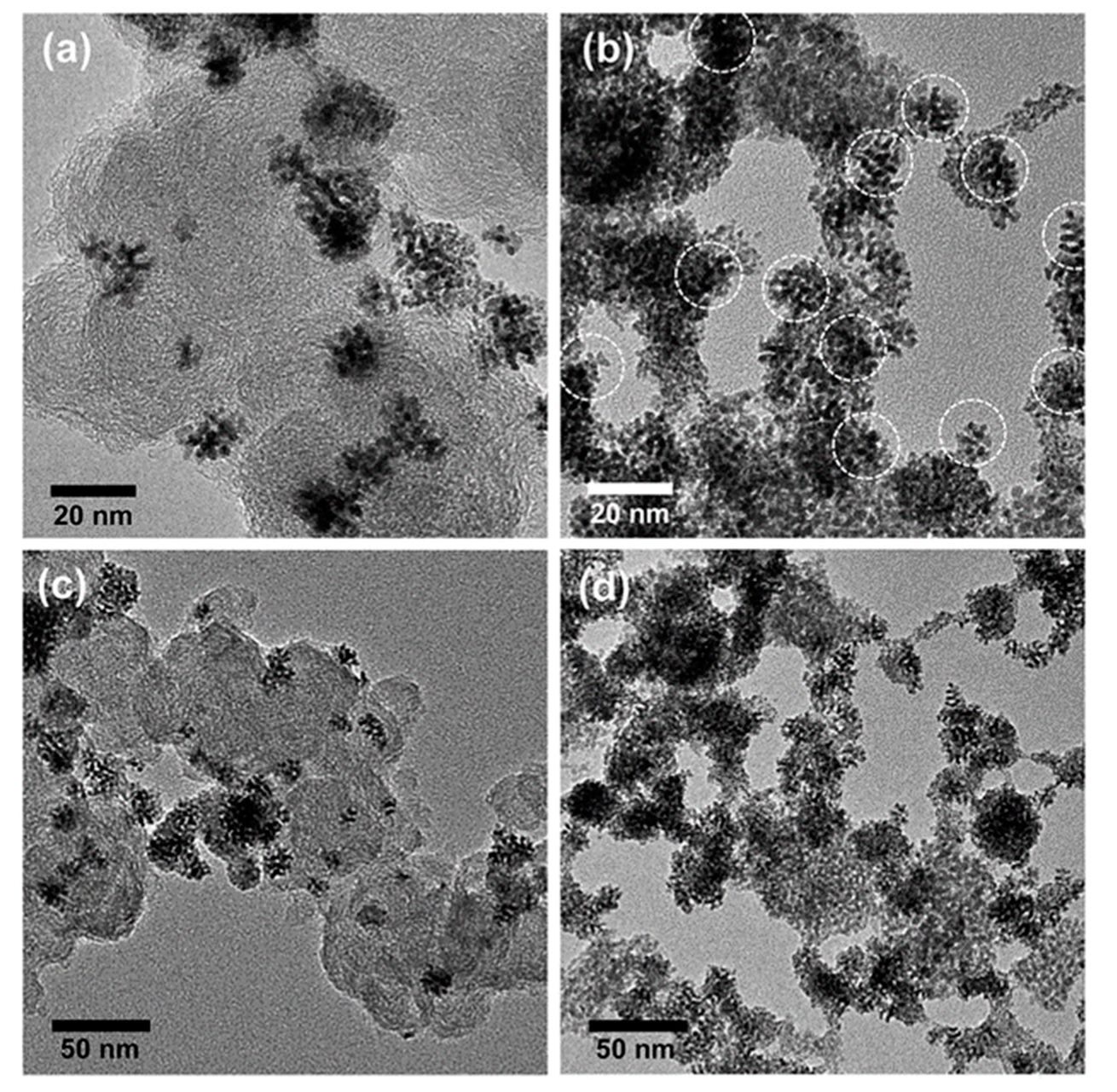 Nanomaterials 11 01686 g014