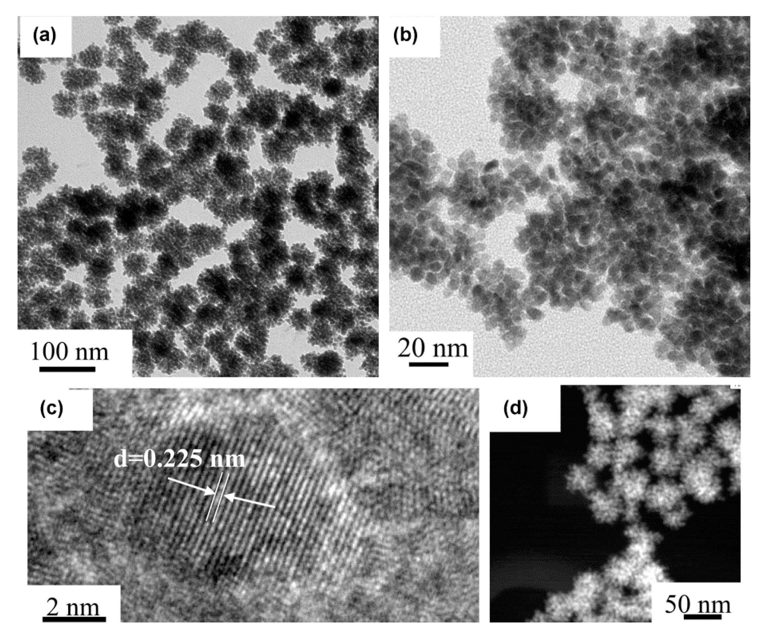 Nanomaterials 11 01686 g015