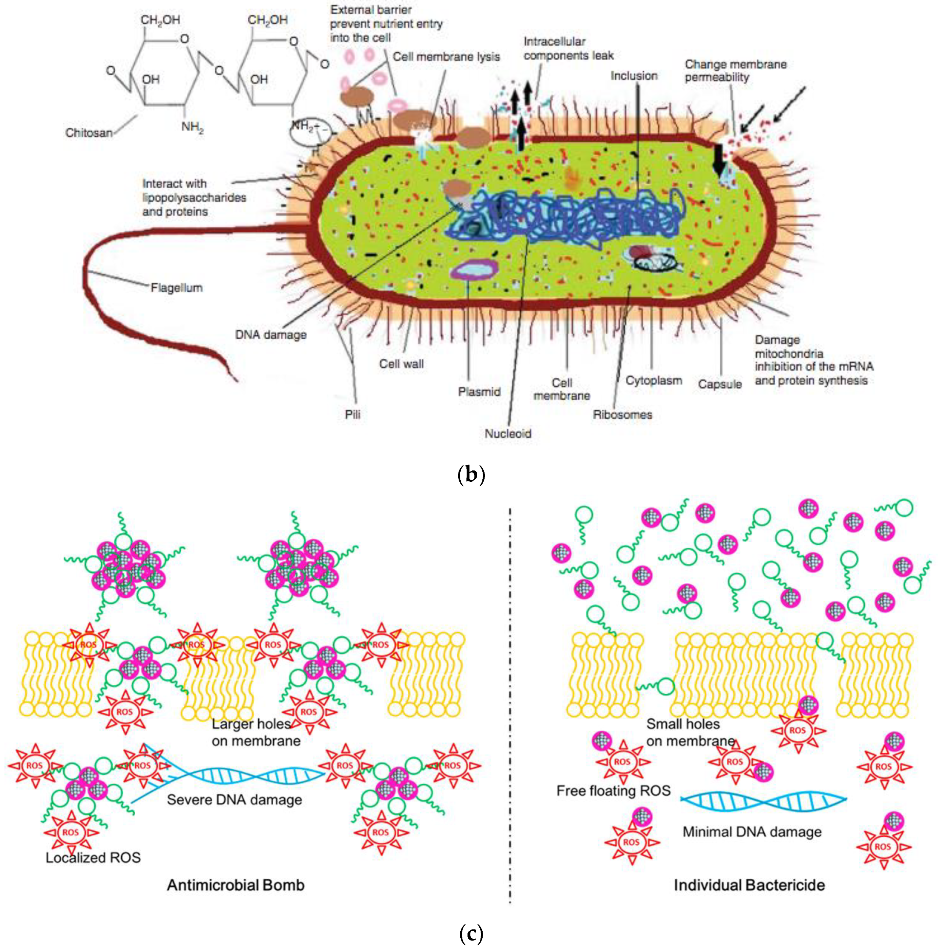 Nanomaterials 11 01687 g003b