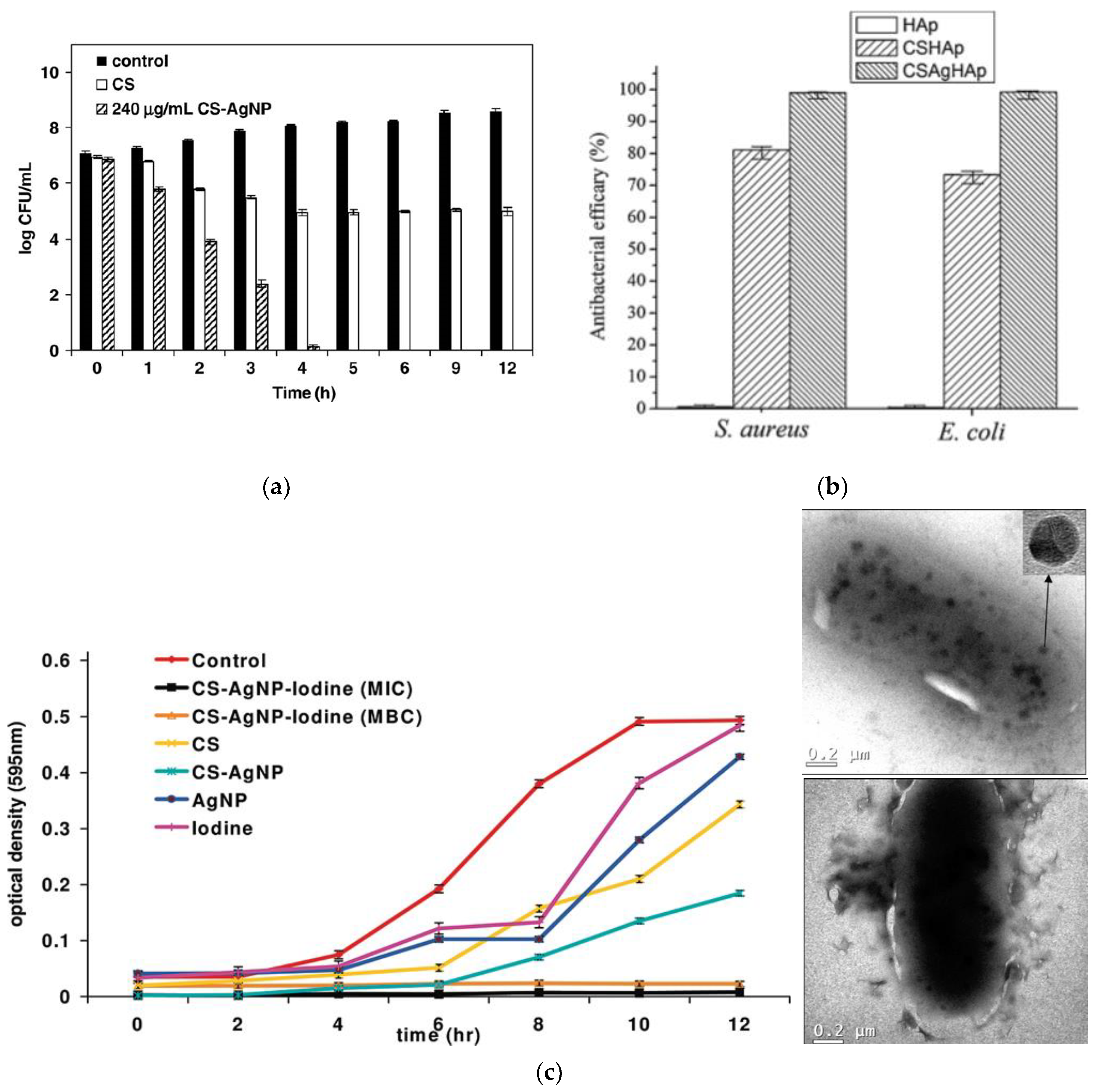 Nanomaterials 11 01687 g004