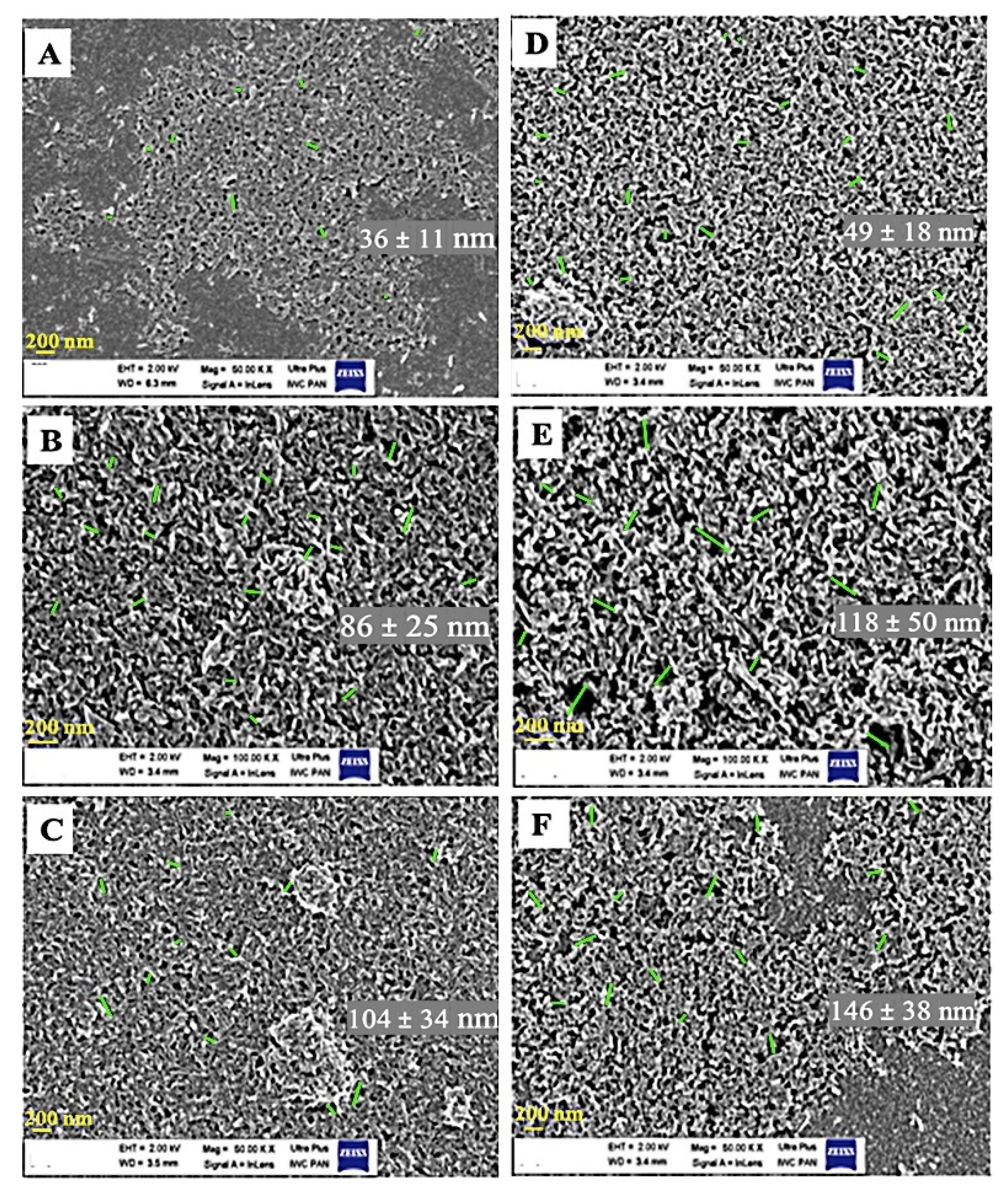 Nanomaterials 11 01690 g004 Nanomaterials 11 01690 g004