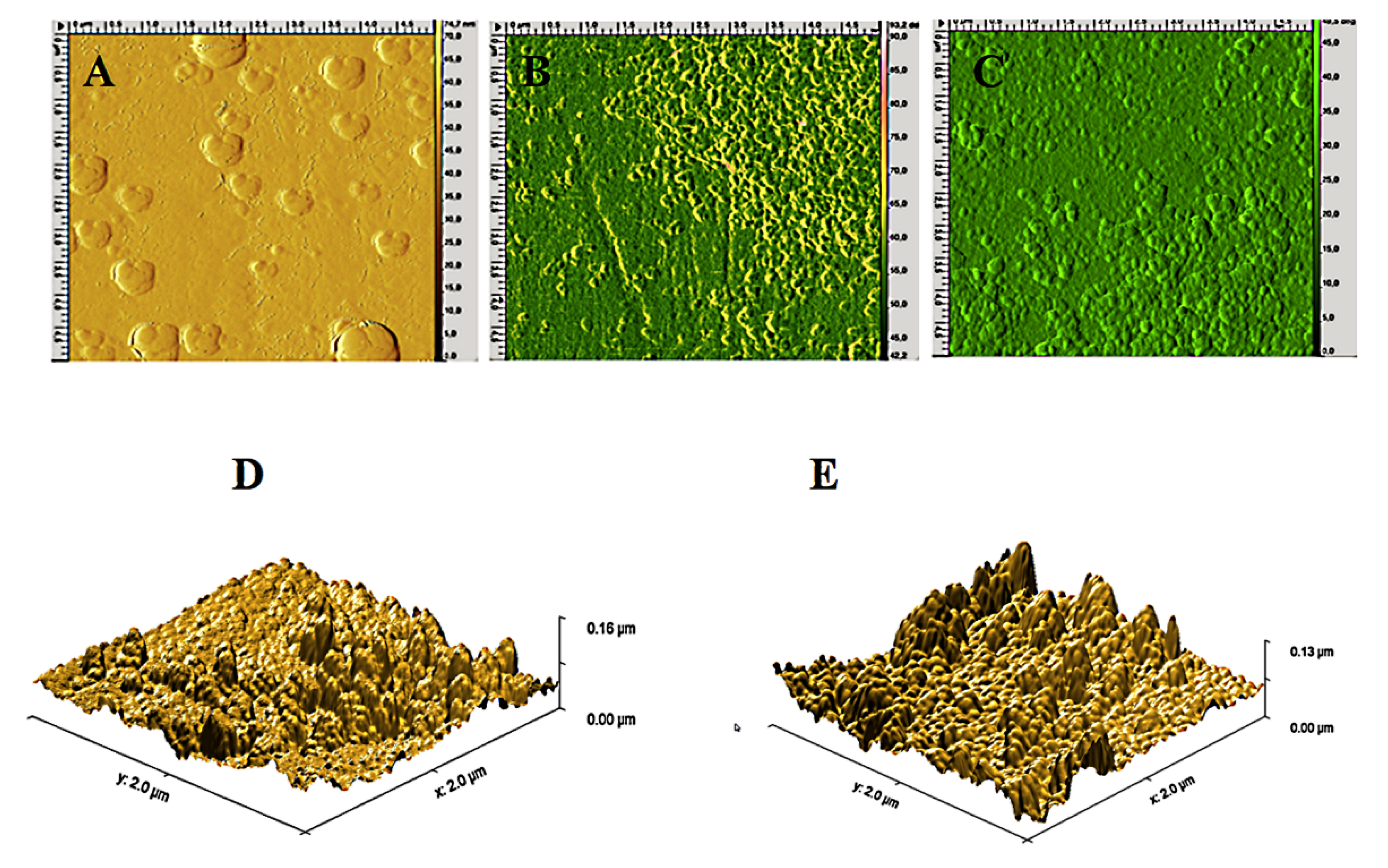 Nanomaterials 11 01690 g005 Nanomaterials 11 01690 g005
