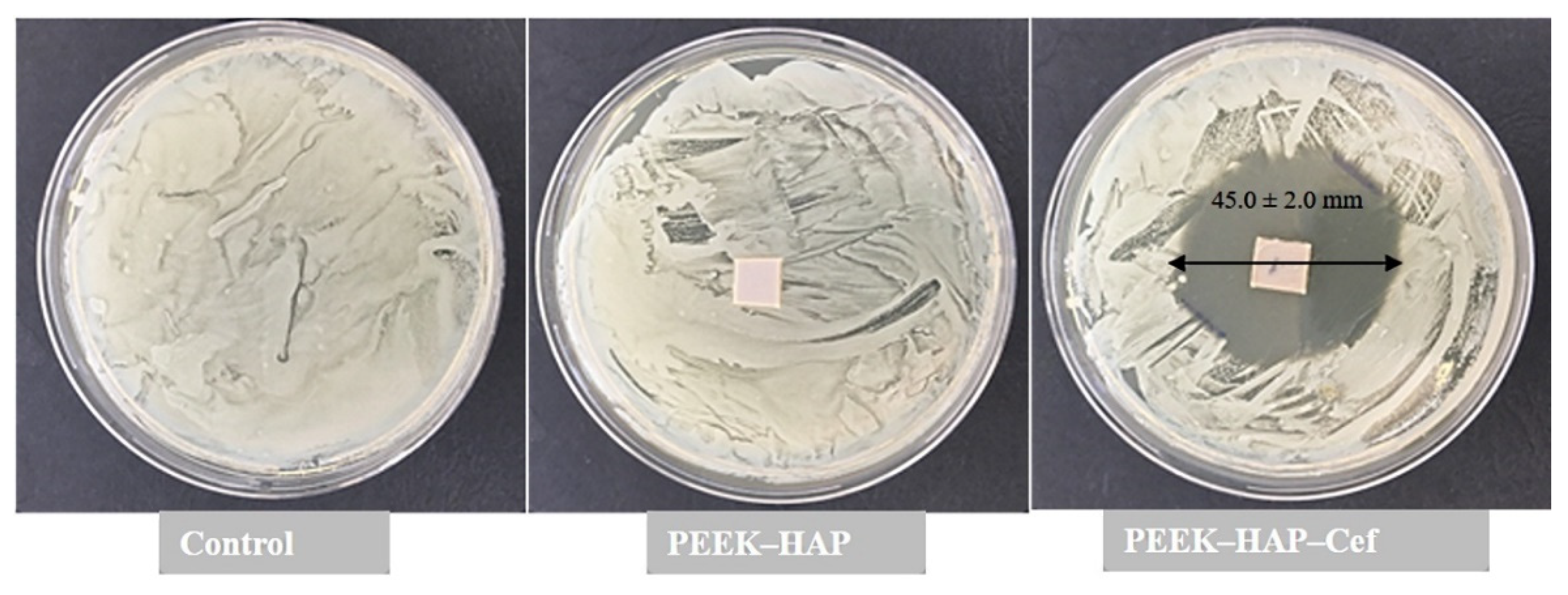 Nanomaterials 11 01690 g008 Nanomaterials 11 01690 g008