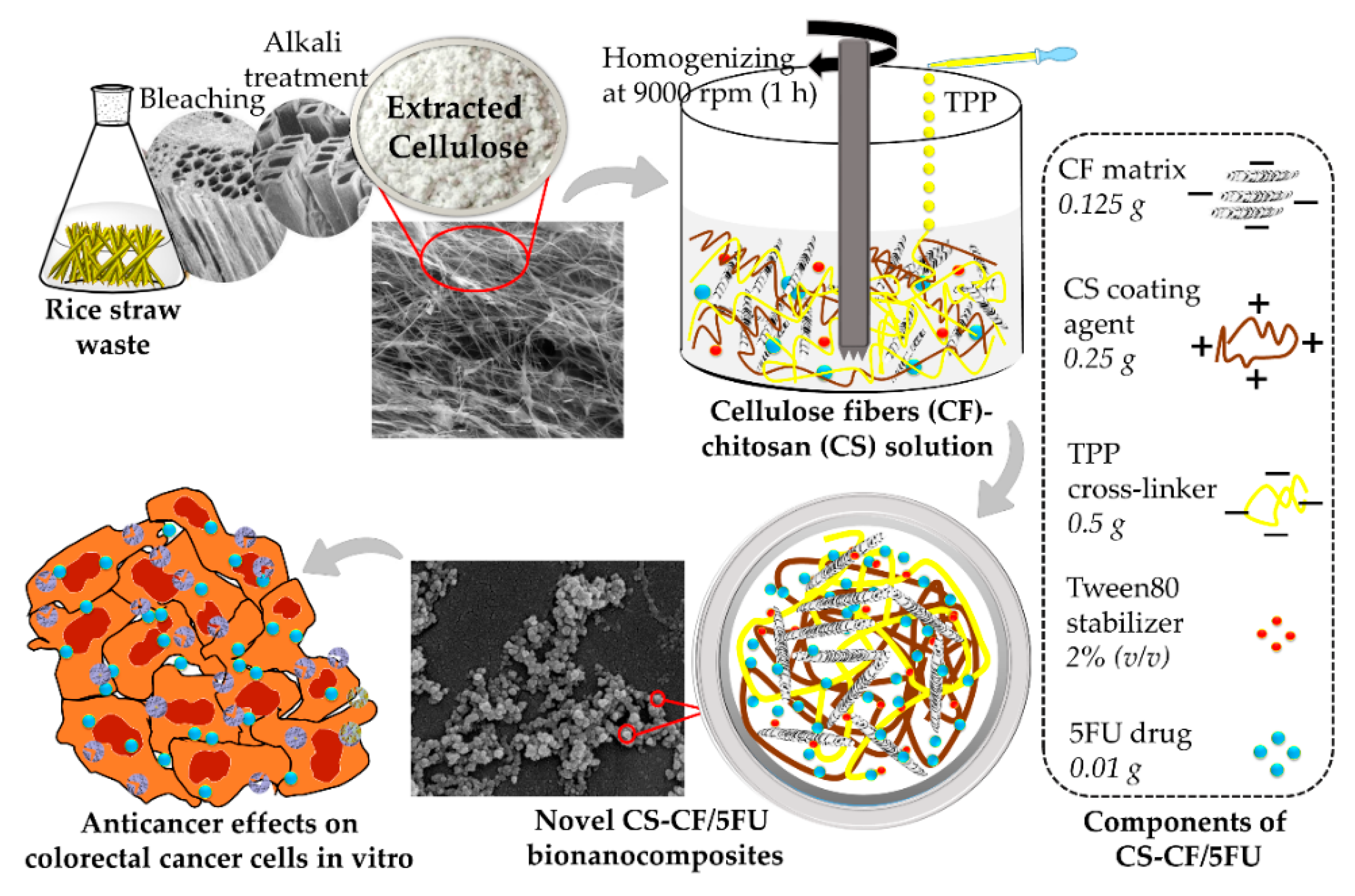 Nanomaterials 11 01691 sch001