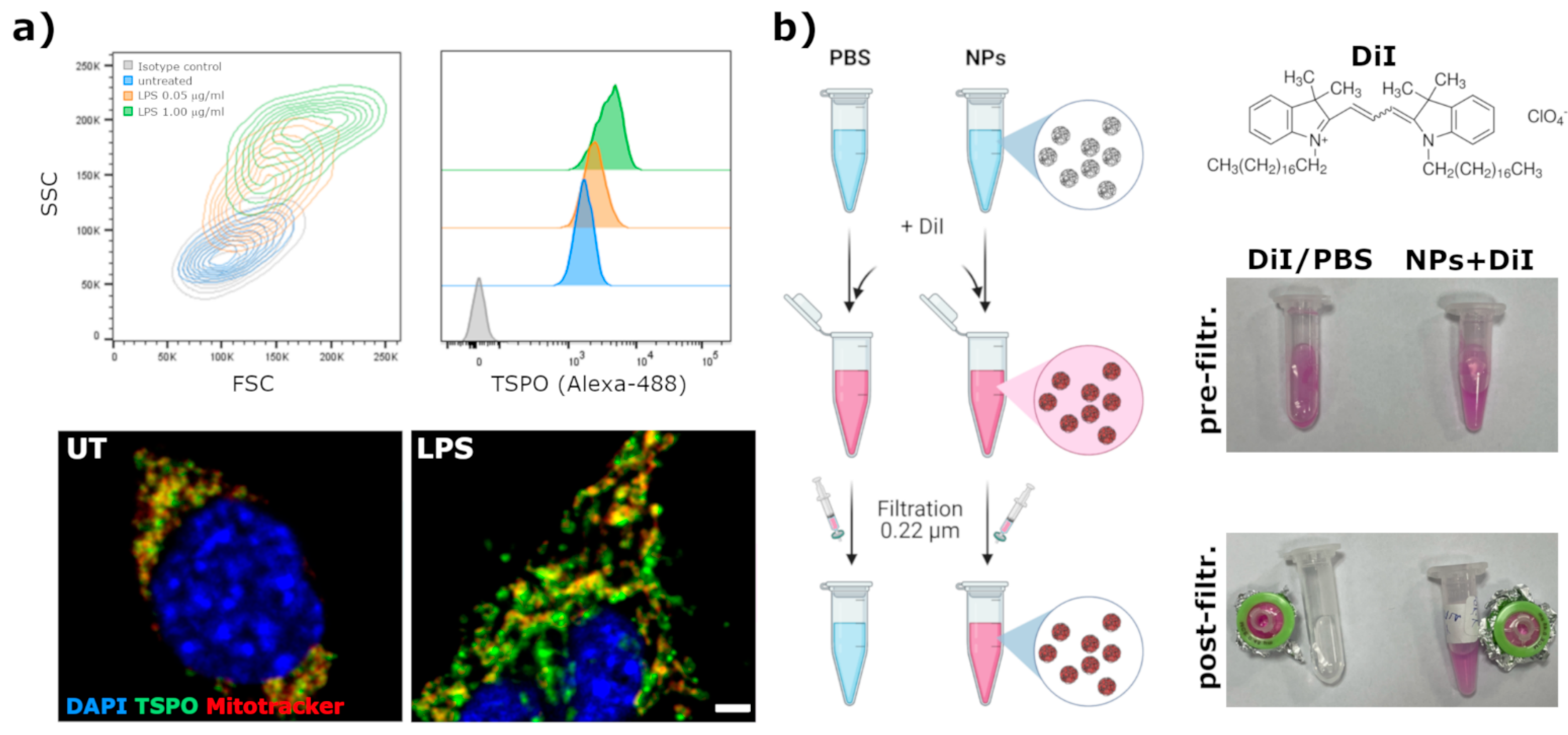 Nanomaterials 11 01693 g005 550