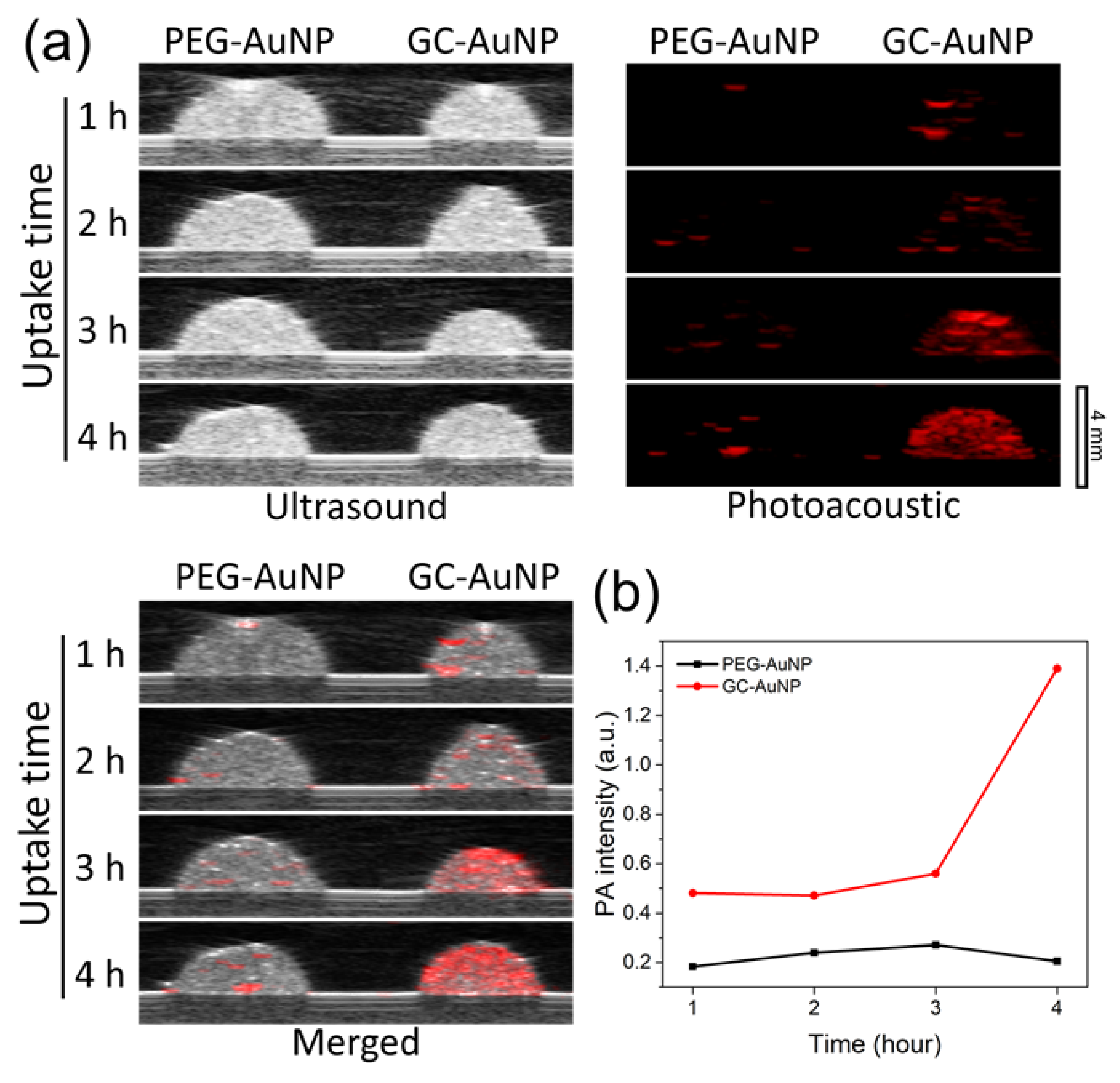 Nanomaterials 11 01700 g003 550