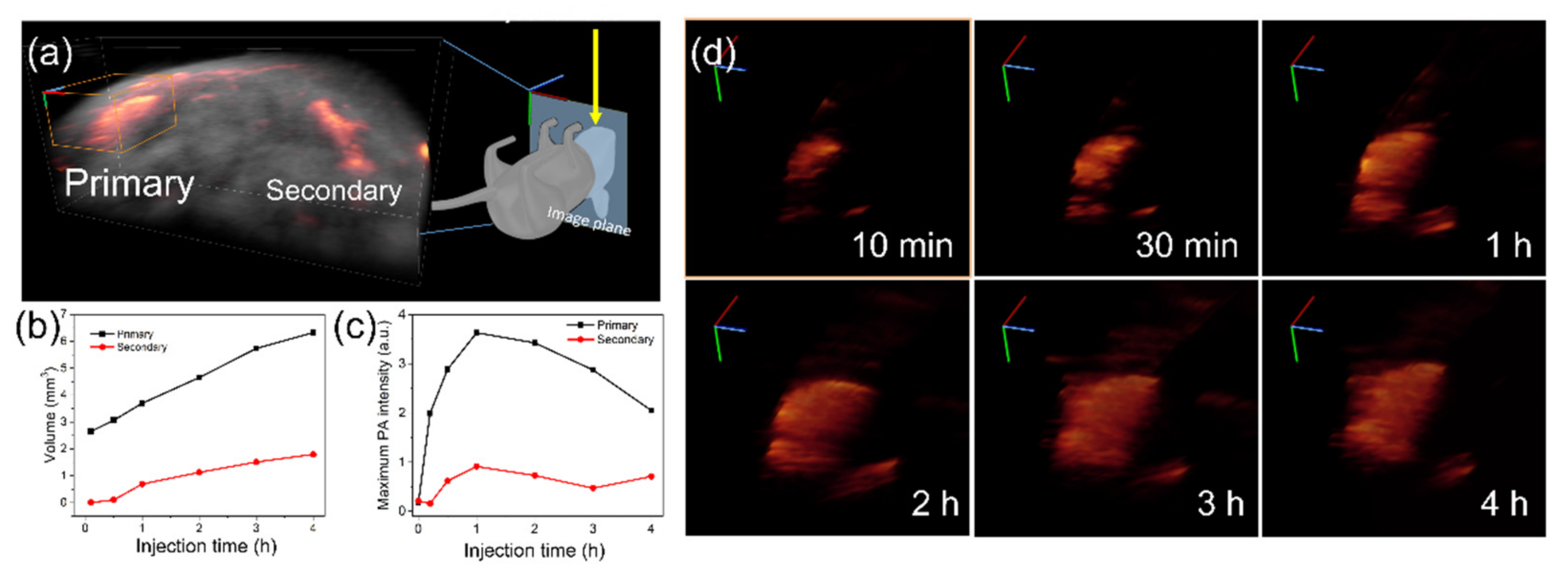 Nanomaterials 11 01700 g005 550
