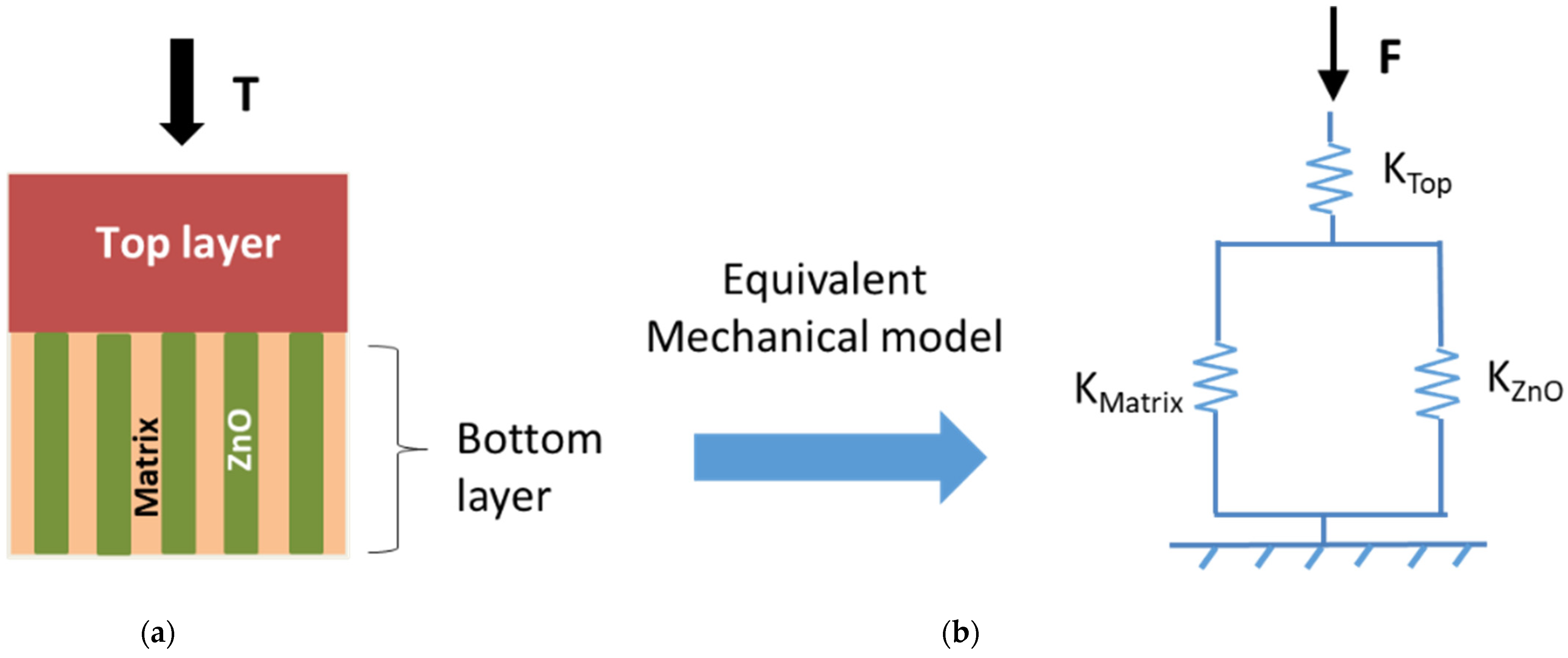 Nanomaterials 11 01712 g006 550