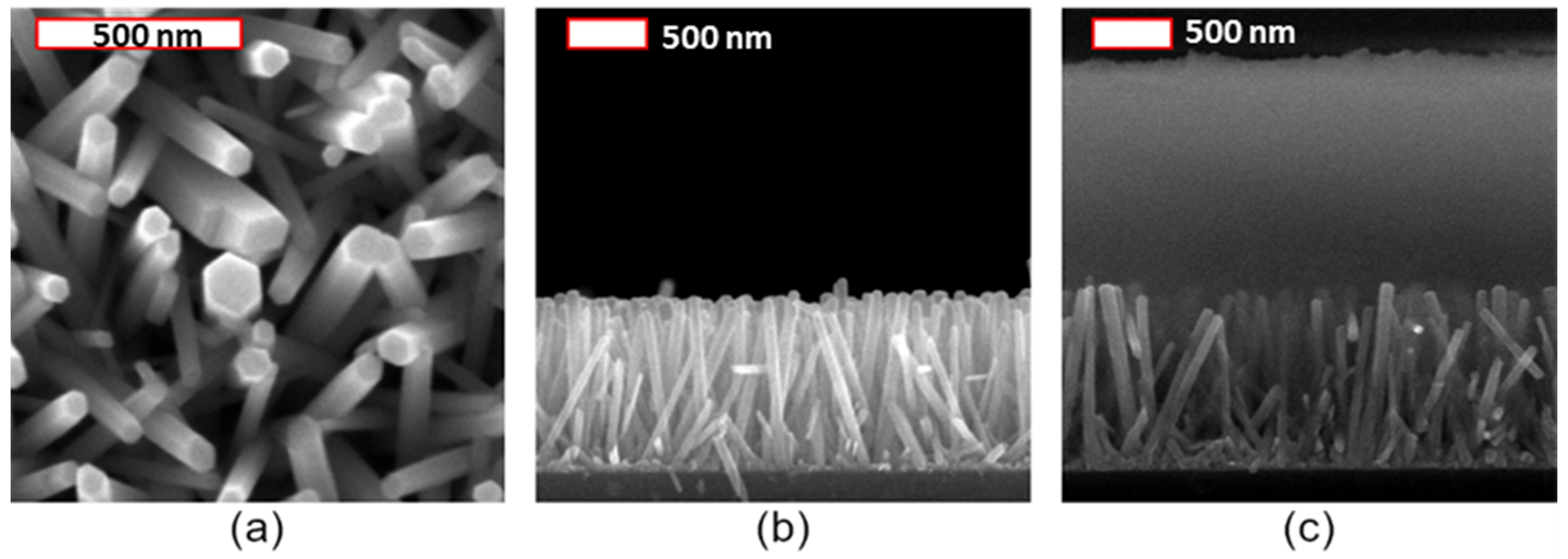 Nanomaterials 11 01712 g012 550