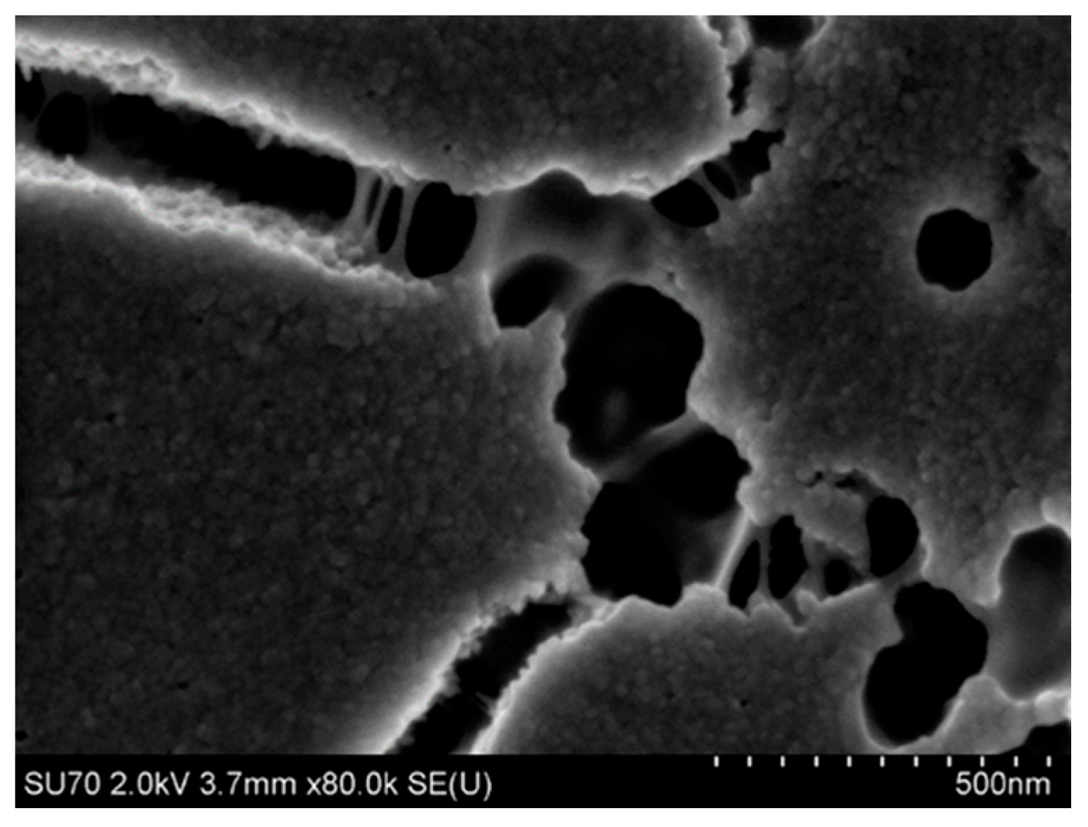 Nanomaterials 11 01714 g004 Nanomaterials 11 01714 g004
