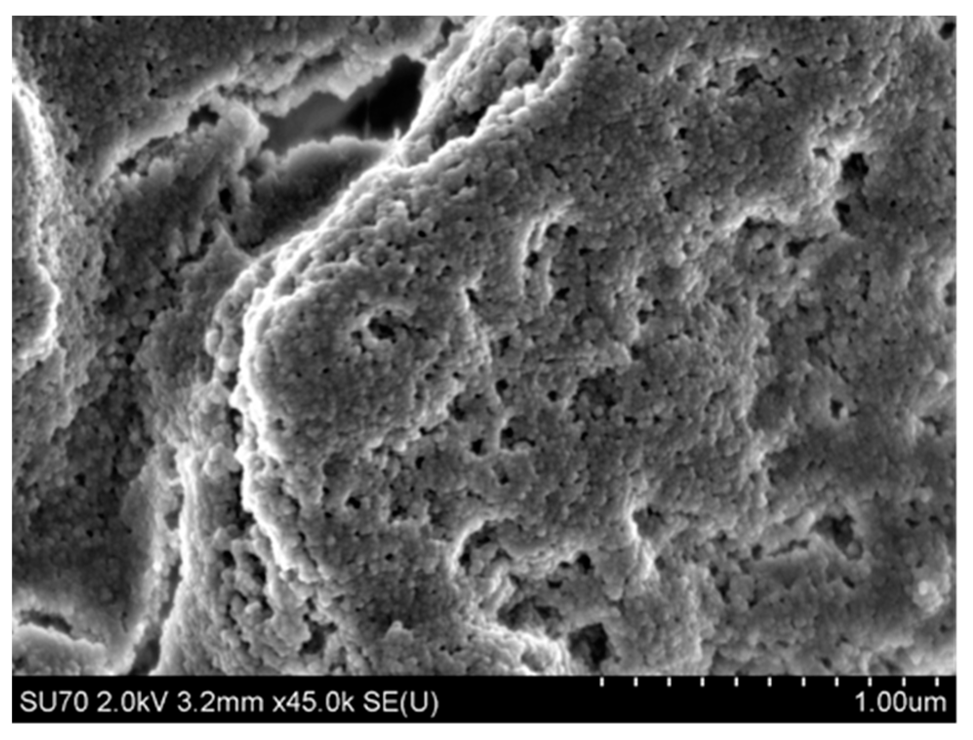 Nanomaterials 11 01714 g014 Nanomaterials 11 01714 g014